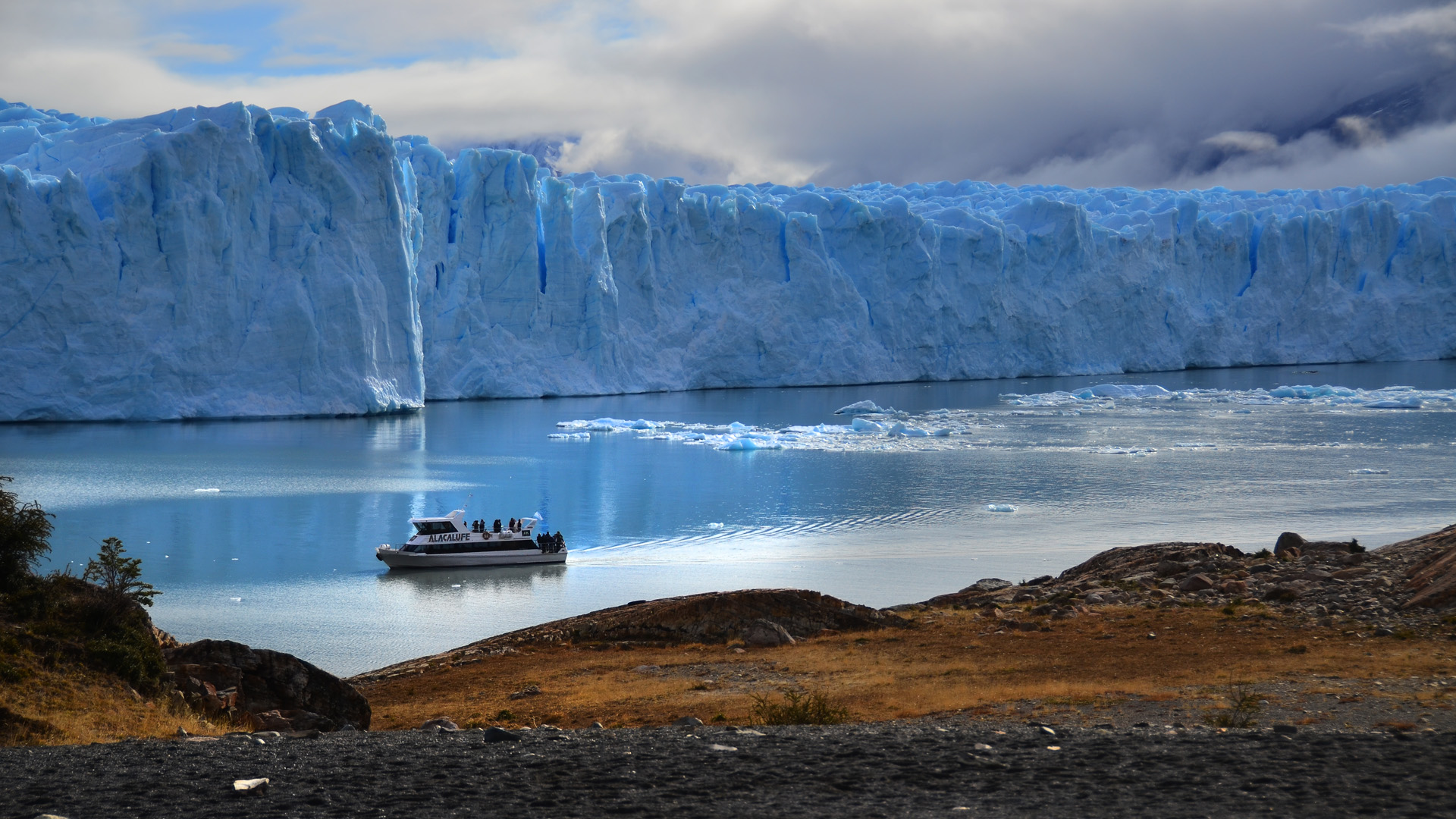 Esta región incluye varios glaciares de descarga, que desprenden témpanos de hielo en los grandes lagos patagónicos, incluyendo el famoso glaciar Perito Moreno. Además son muy frecuentes los glaciares de valle, campos de hielo y glaciares de montaña.