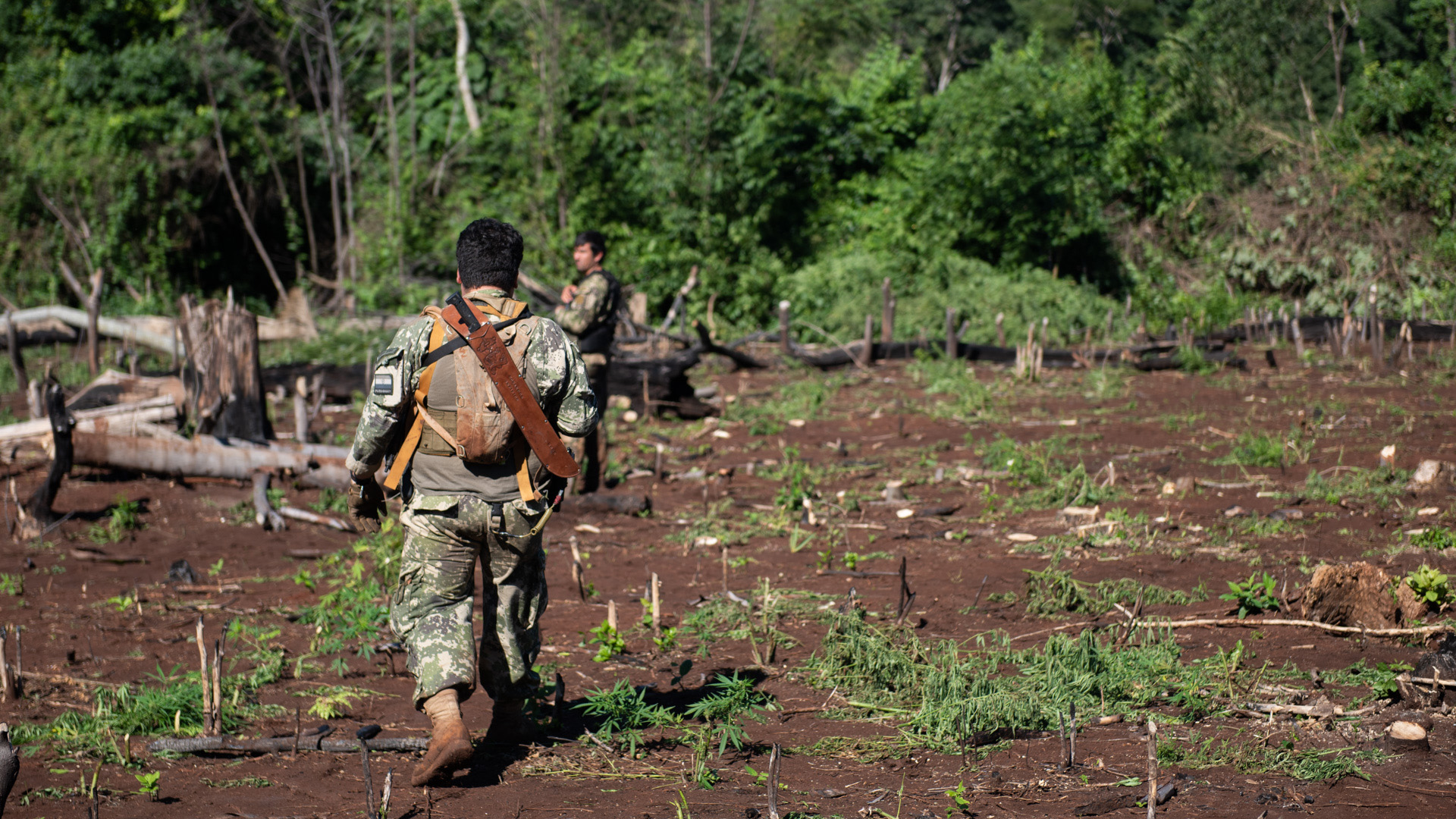 Hombres del SENAD y de las fuerzas especiales paraguayas: los jornaleros a sueldo de los narcos talaron la reserva forestal de una estancia.