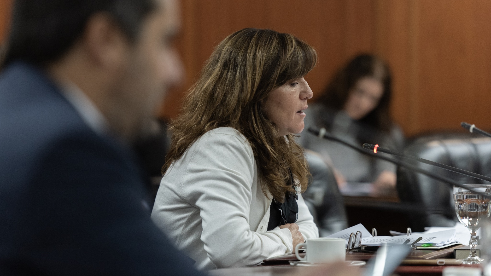 Concejo de la Magistratura (36)