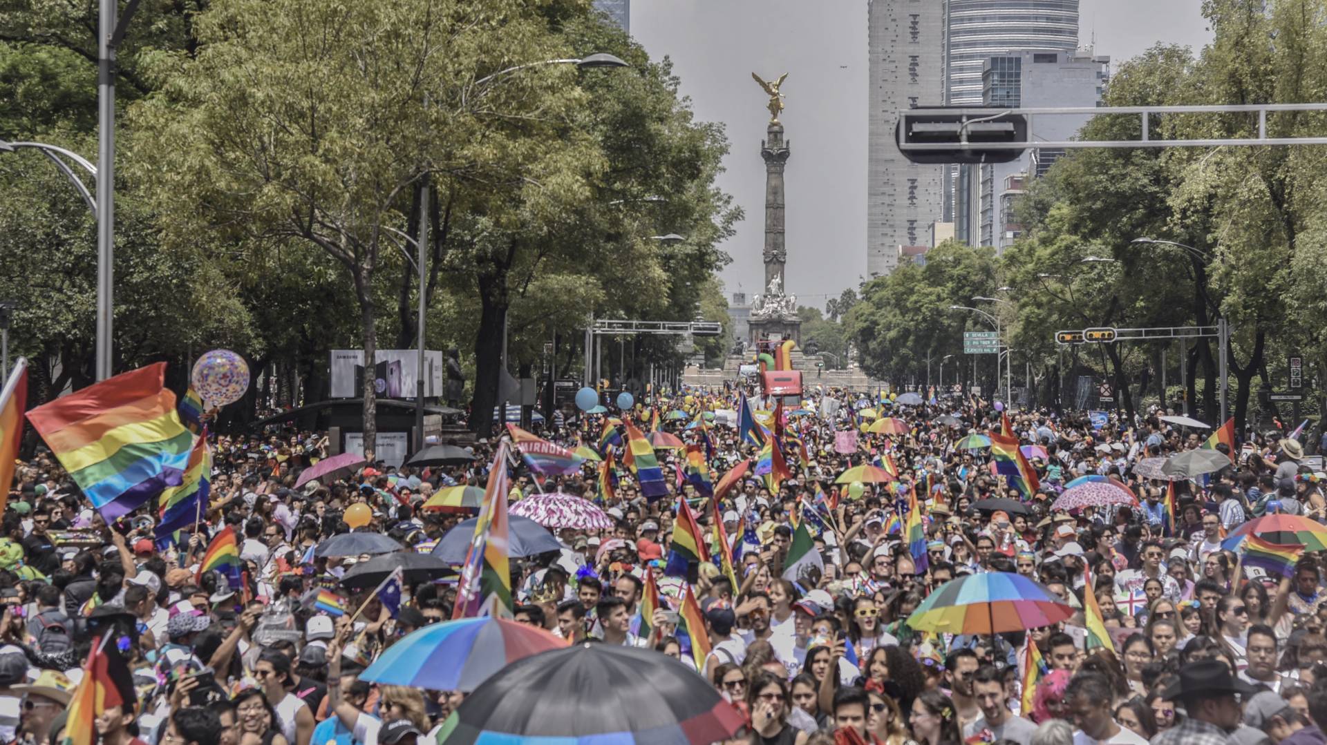 (Foto: Mario Jasso / Cuartoscuro.com)