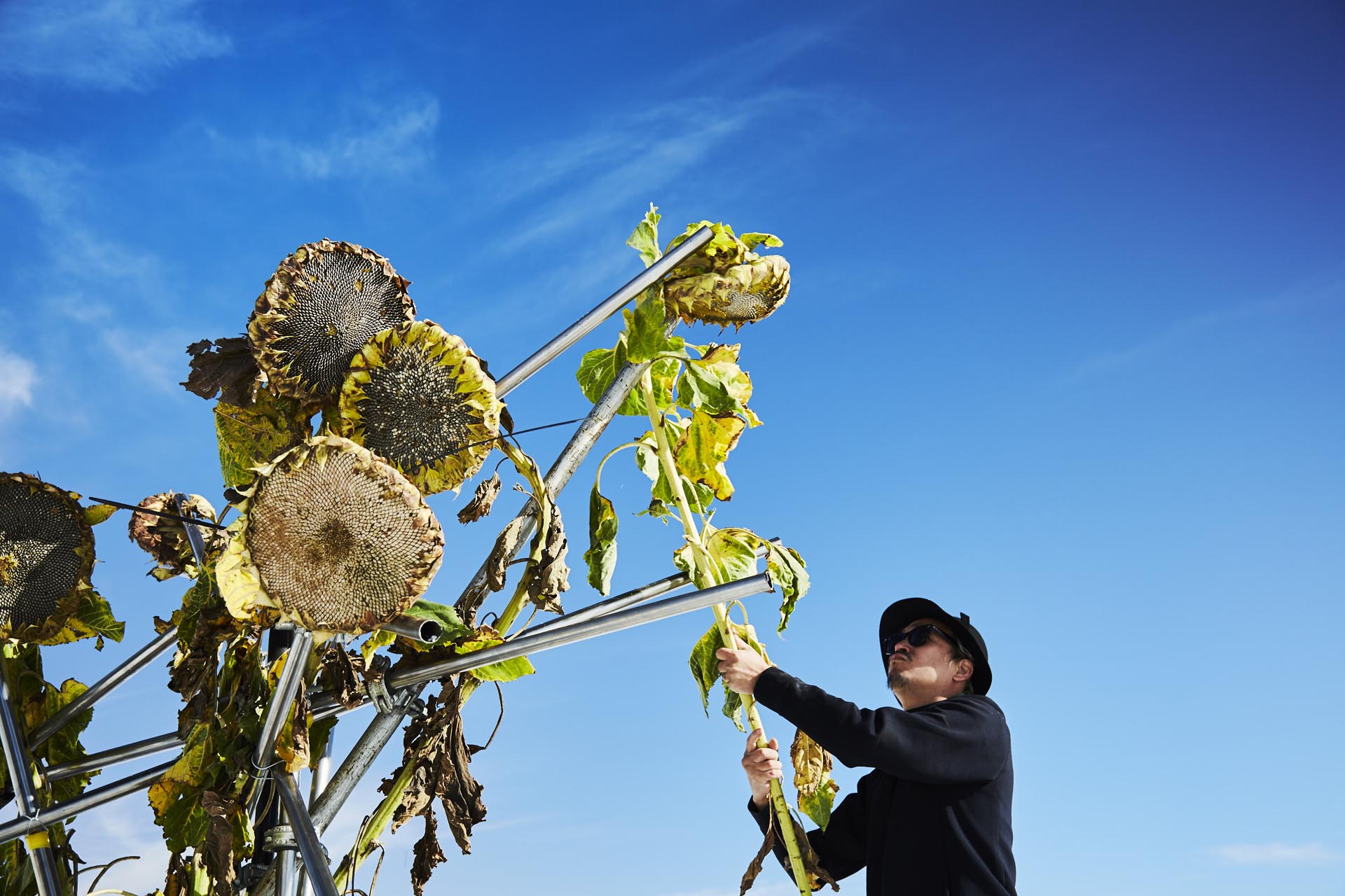Makoto Azuma y su “Flor de sal”, instalada en las Salinas Grandes de Jujuy (Bienalsur)