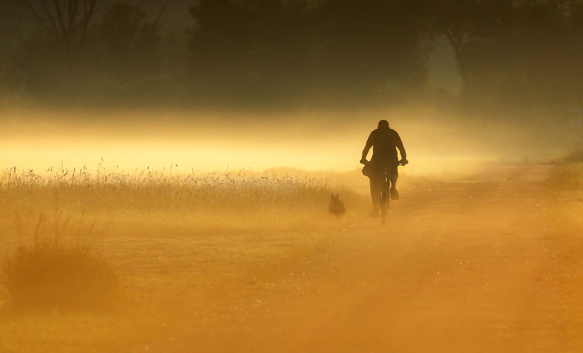Un hombre con su perro en la niebla matutina de Riedlingen-Daugendorf, Alemania (Thomas Warnack/ AFP)