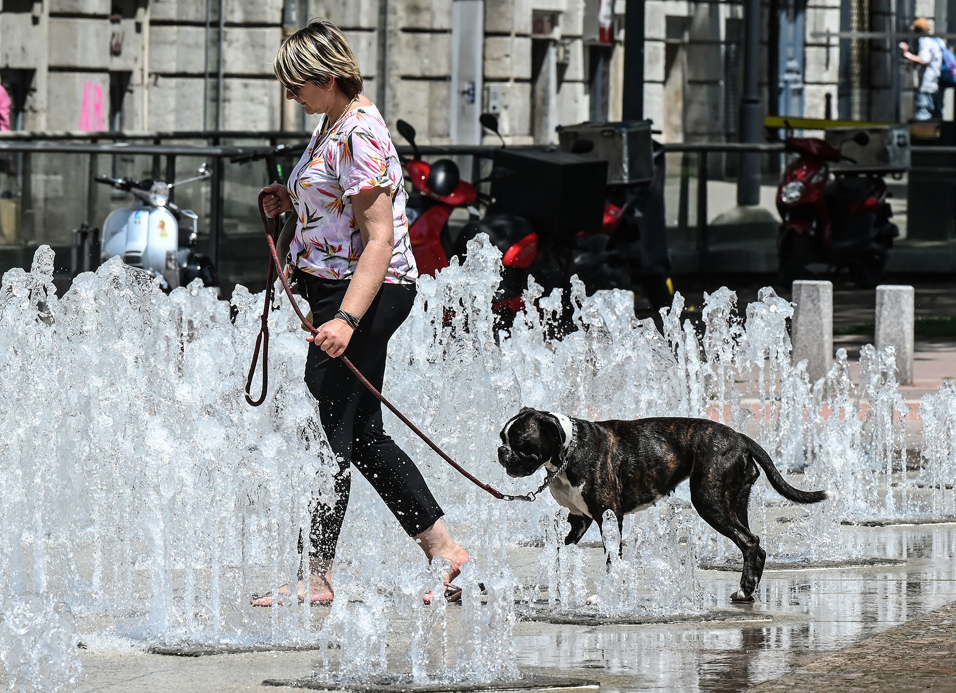 Lyon, Francia (AFP)