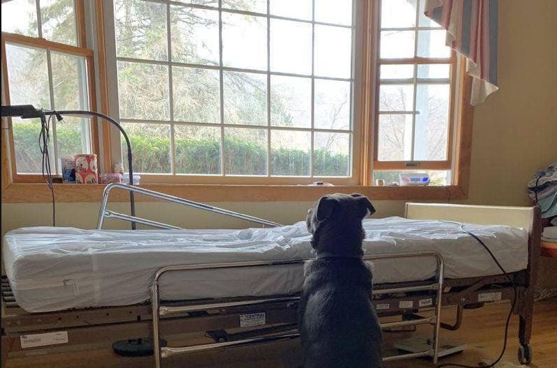 La historia de Moose se volvió viral en redes sociales porque el lunes 17 de junio la asociación de rescate animal NorthStar Pet Rescue publicó la fotografía de labrador negro de tres años, al lado de la cama que ocupó en el hospital su dueño, quien lamentablemente falleció. (Foto: Facebook)