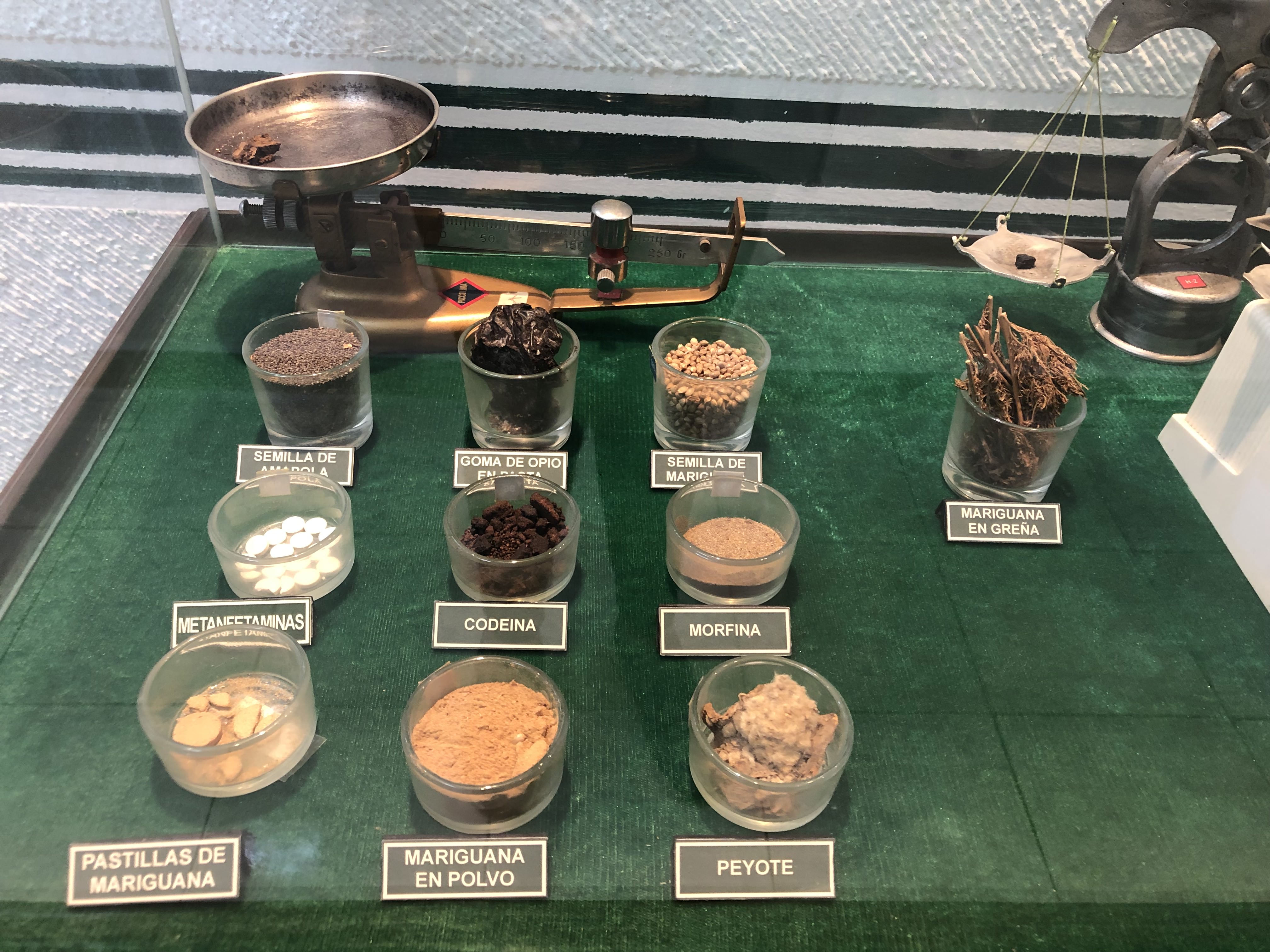 Muestra de las drogas con fines de adiestramiento militar (Foto: Diana Zavala/Infobae)