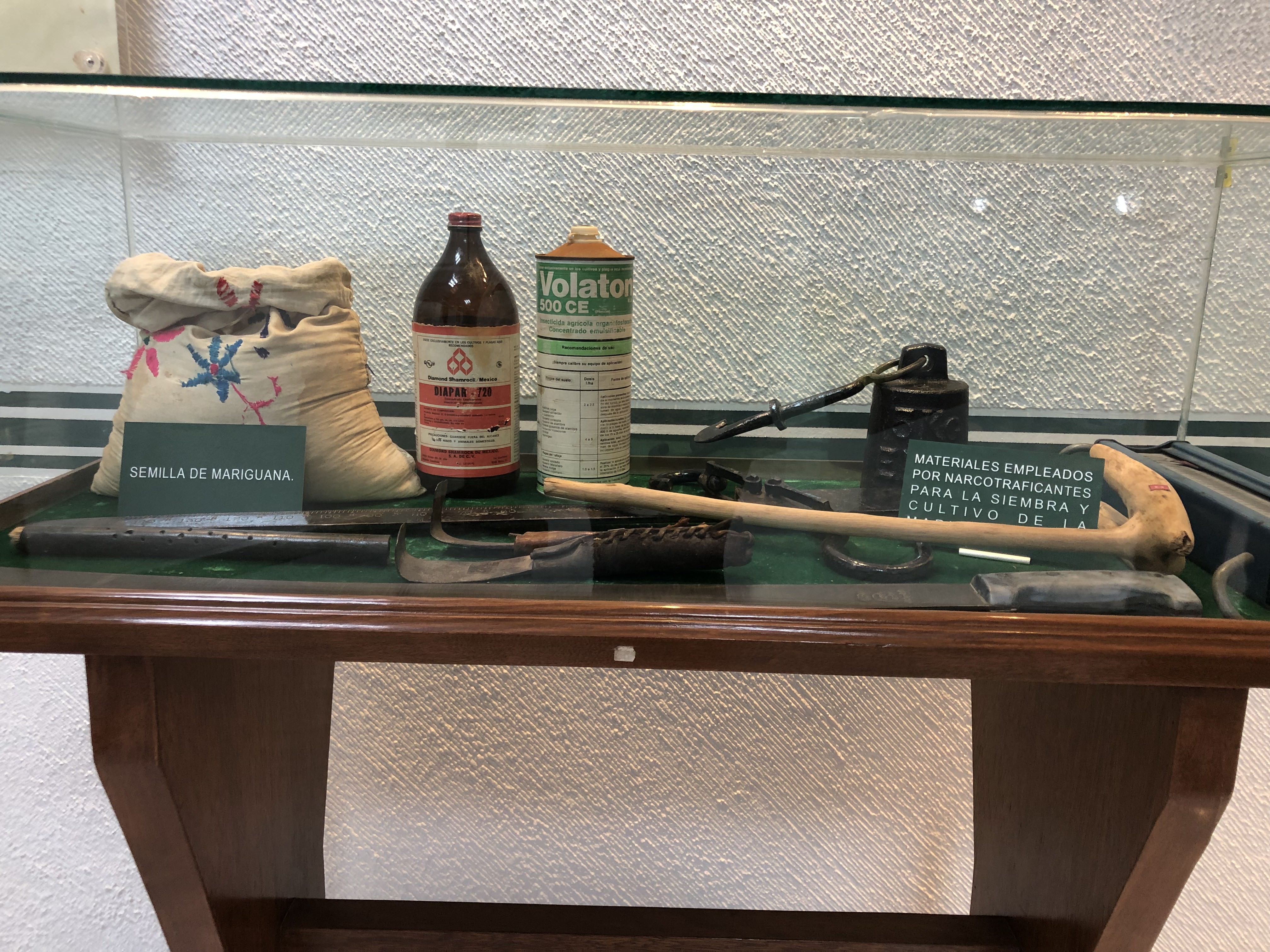 Herramientas para cosechar marihuana (Foto: Diana Zavala/Infobae)