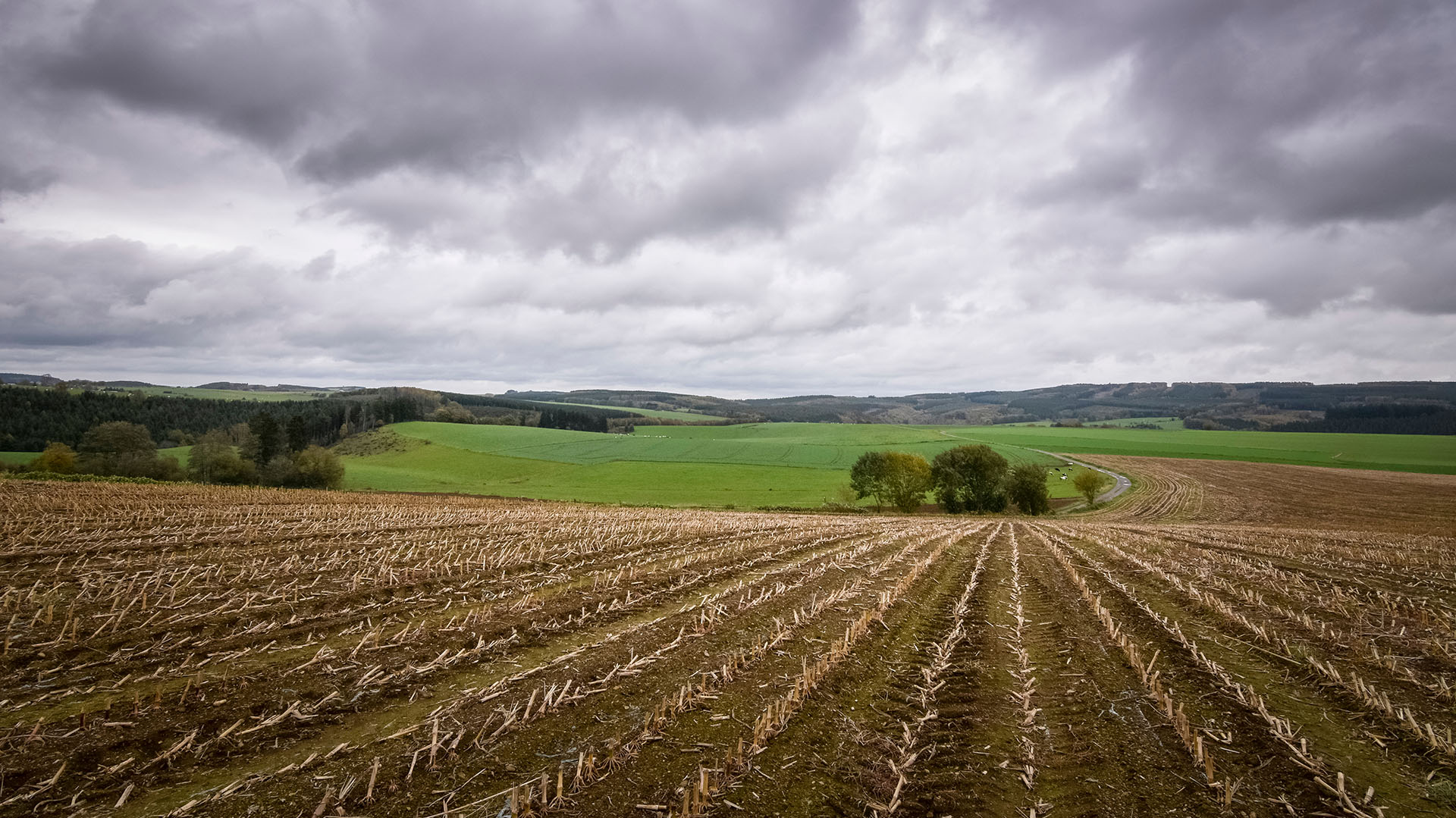El sector agrícola en Bélgica también se opone (Shutterstock)