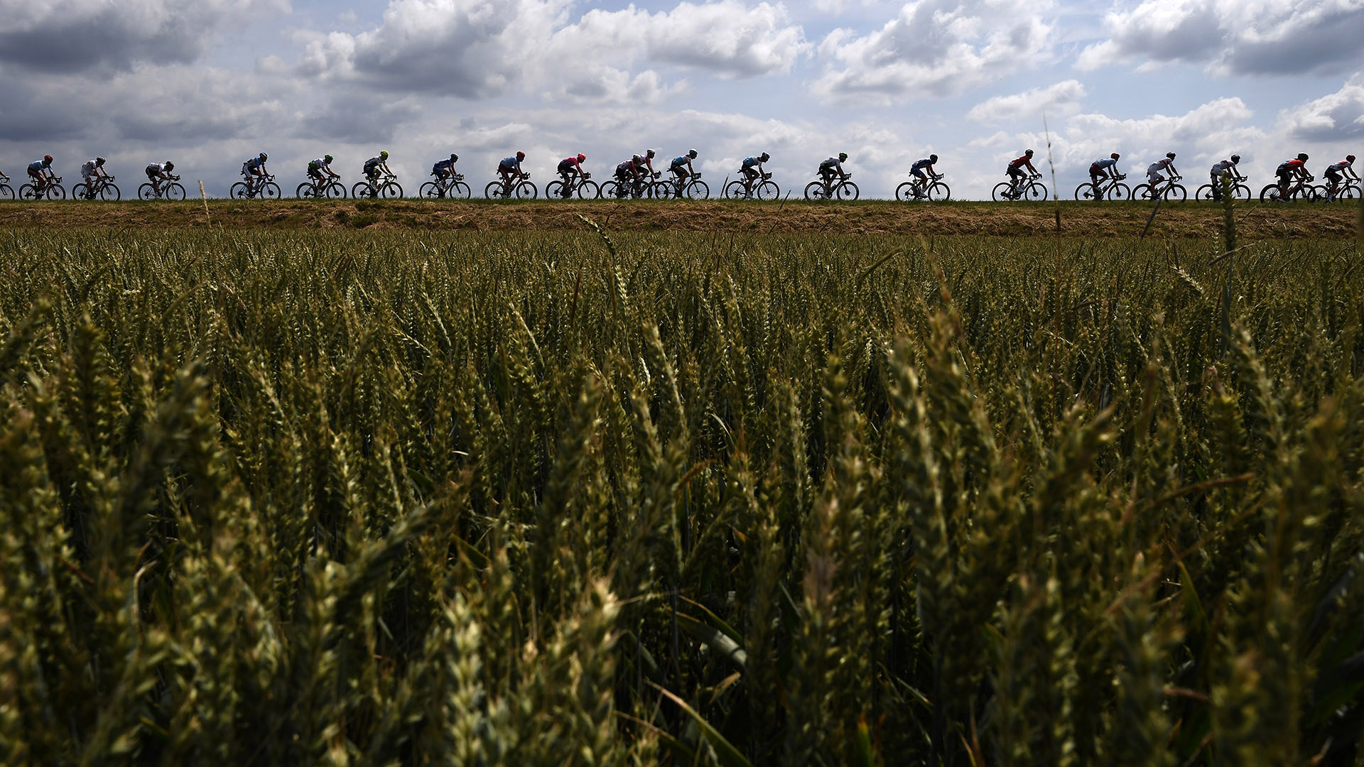 Épernay, la capital del champán, entre viñedos y célebres bodegas, fue el escenario este lunes de la tercera etapa del Tour de France