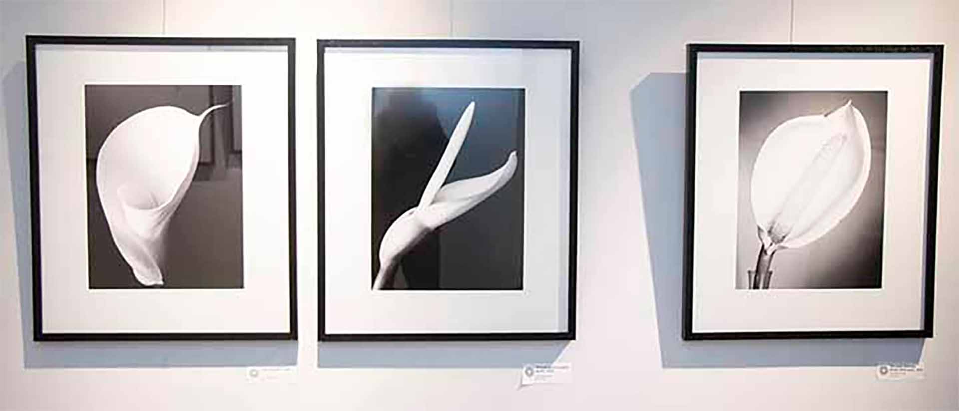Fotografías de “Jandri” Blaquier exhibidas en Sileo Gallery