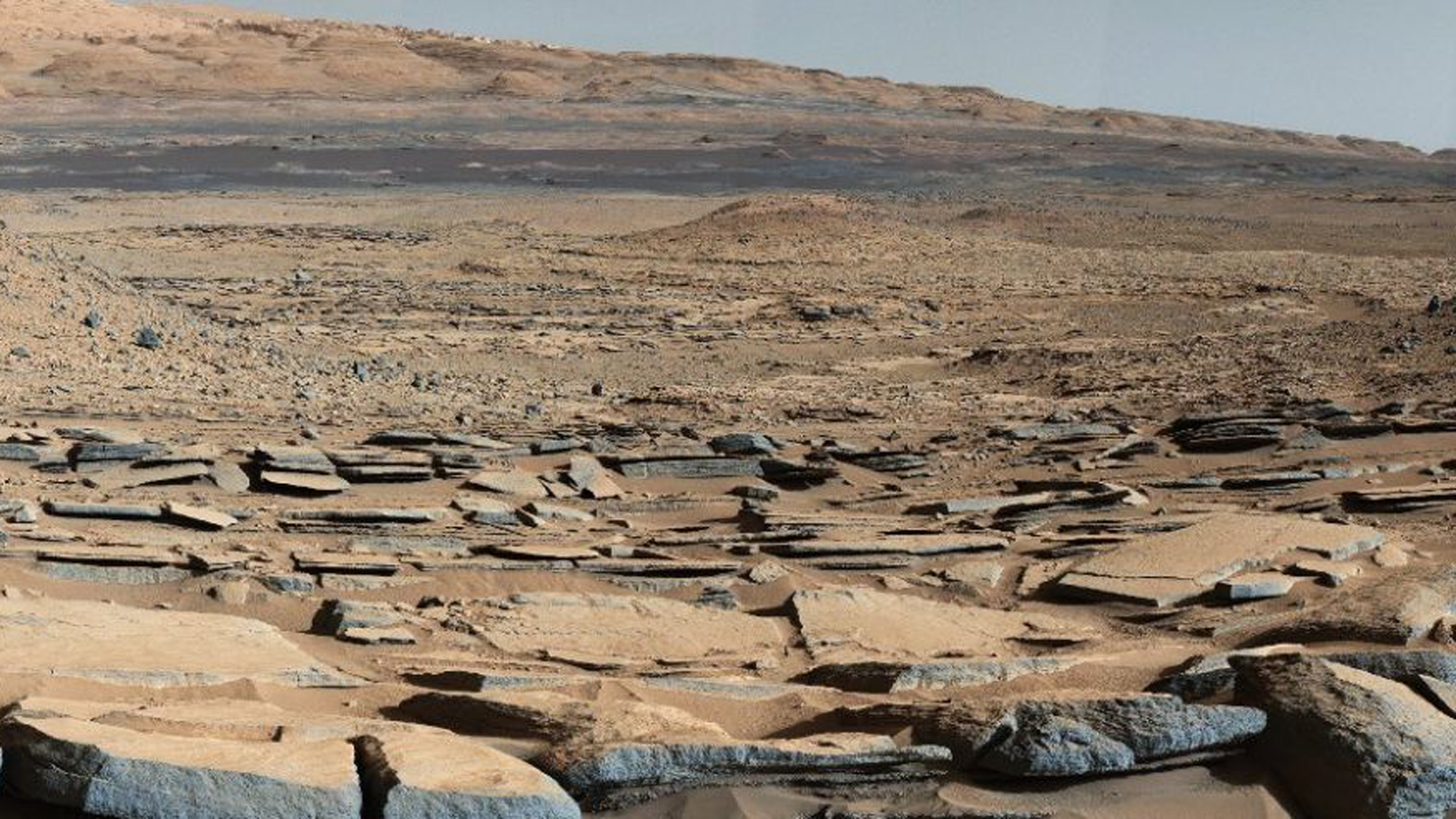 La aridez del planeta rojo en una foto obtenida por un robot (NASA)