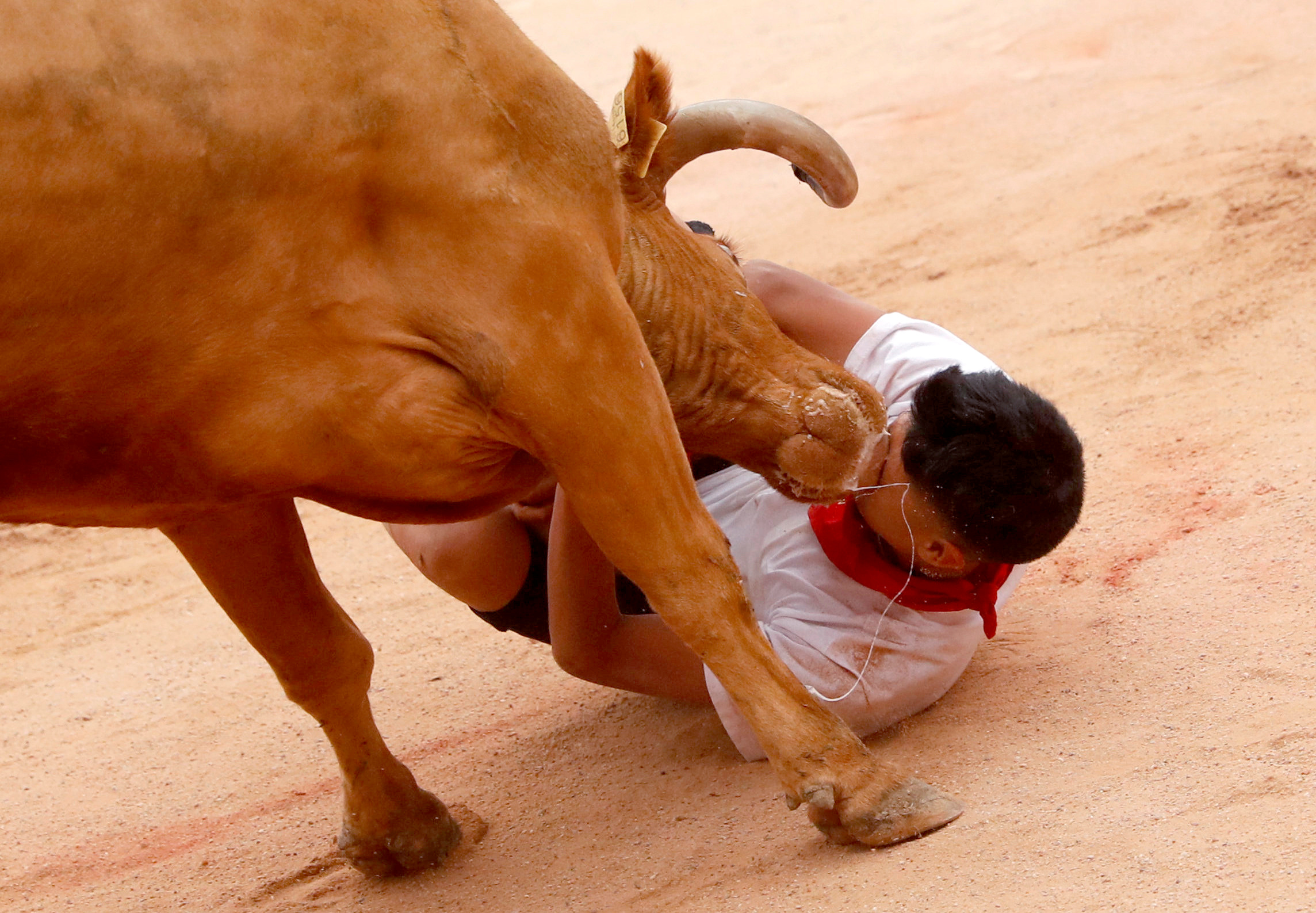 Como cada año, miles de personas, procedentes de todo el mundo, desafiaron al miedo y corrieron delante de toros bravos en los encierros, siguiendo una antigua tradición