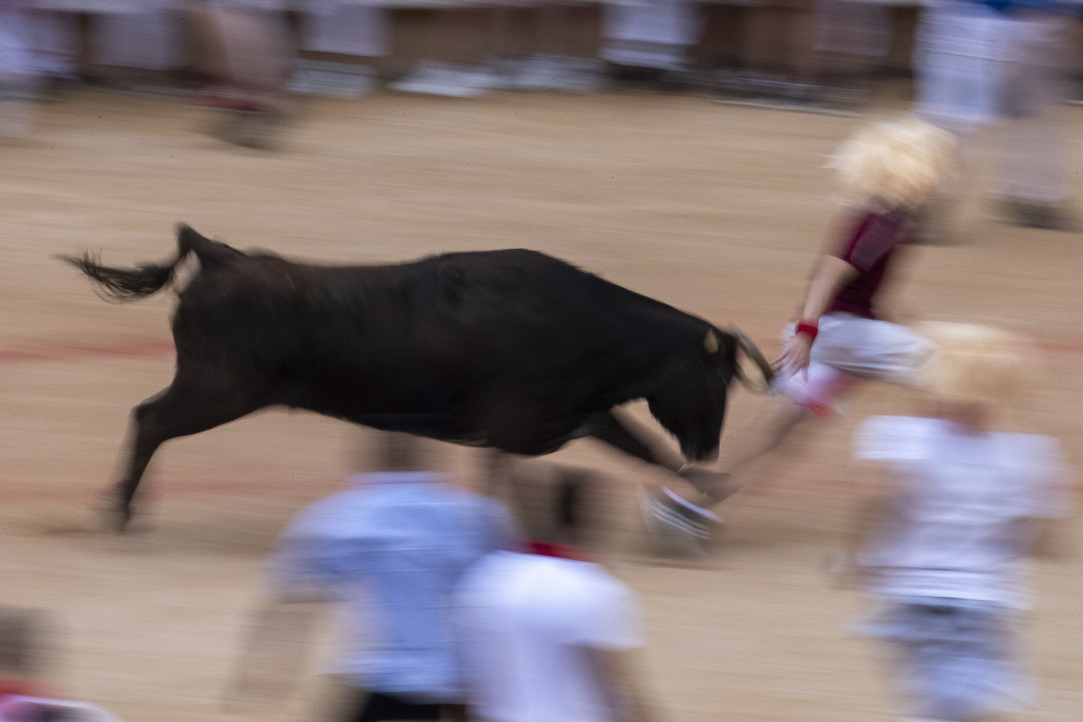 Los sanfermines, una de las fiestas más populares de España, despiertan un gran interés internacional, como lo demuestra, no solo los miles de personas de todo el mundo que llegan a Pamplona, sino también el número de periodistas que lo siguen