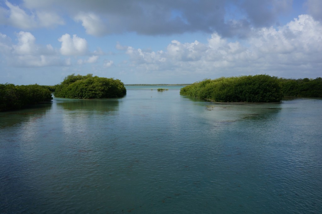 La Reserva Ecológica de Sian Ka'an es una de las más importantes del país (Foto: Flickr)