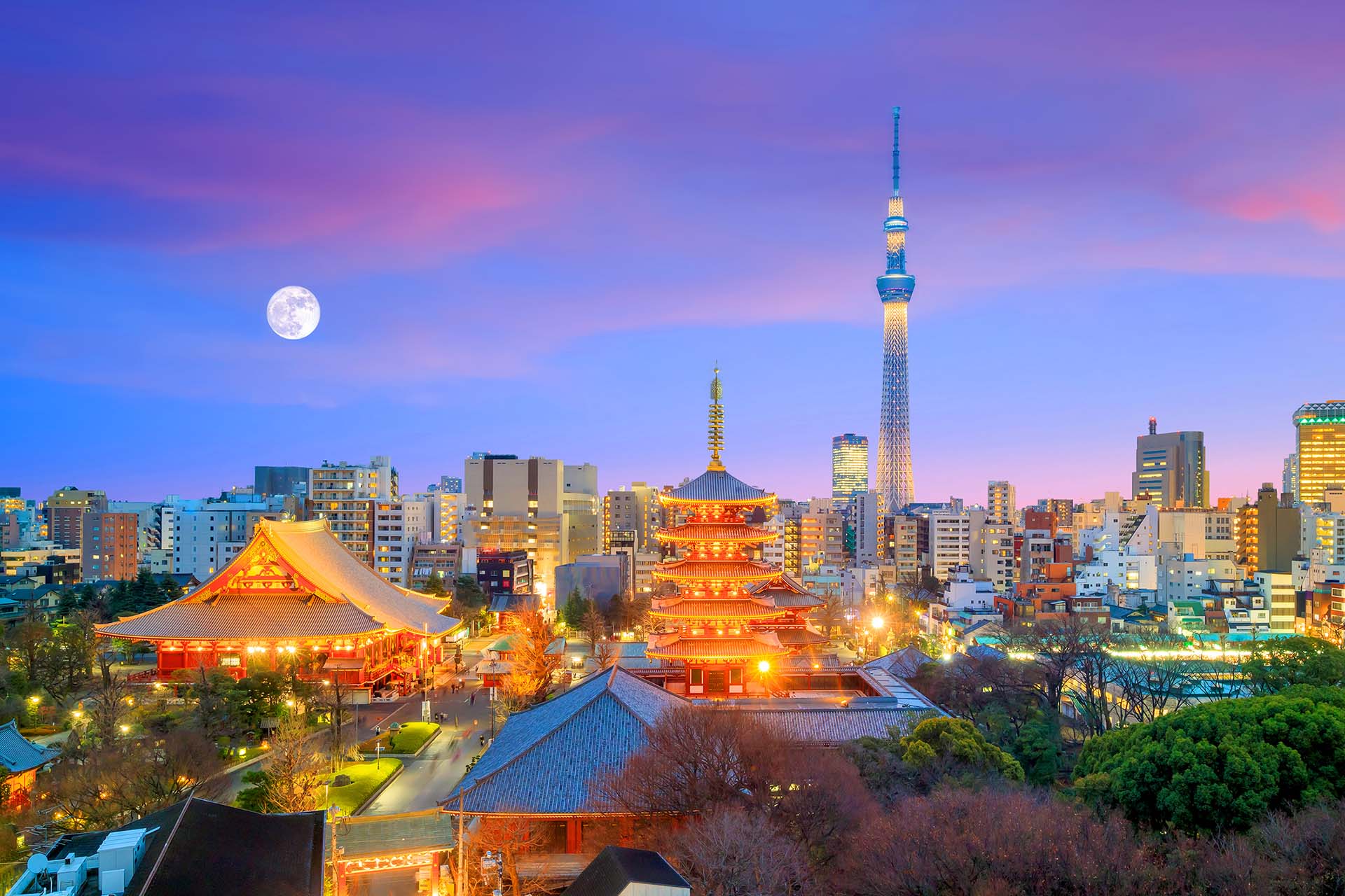 Una de las ciudades más pobladas del mundo es famosa por sus inmensas tiendas de electrónica, videojuegos, manga, anime y mucho más (Shutterstock)