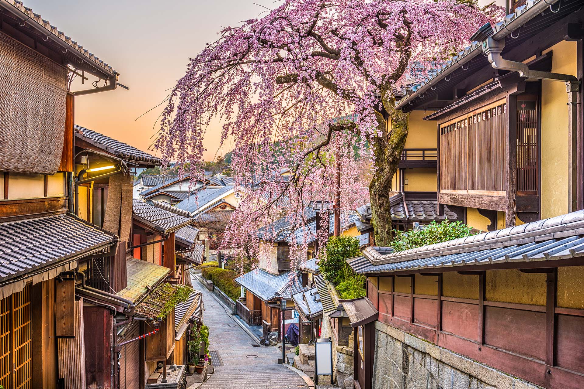 Kioto es una ciudad japonesa en la isla de Honshu repleta de llena de jardines, palacios, casas de madera y santuarios religiosos (Shutterstock)