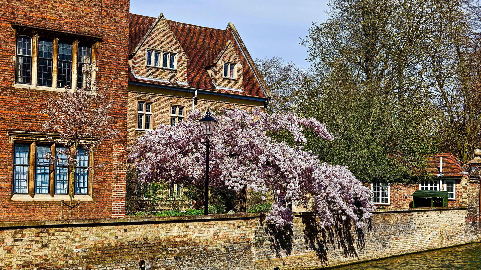 Cambridge es una buena escapada alternativa para hacer desde Londres por el día o por un par. Belleza, historia y cultura (Cambridge Association of Neighborhoods)