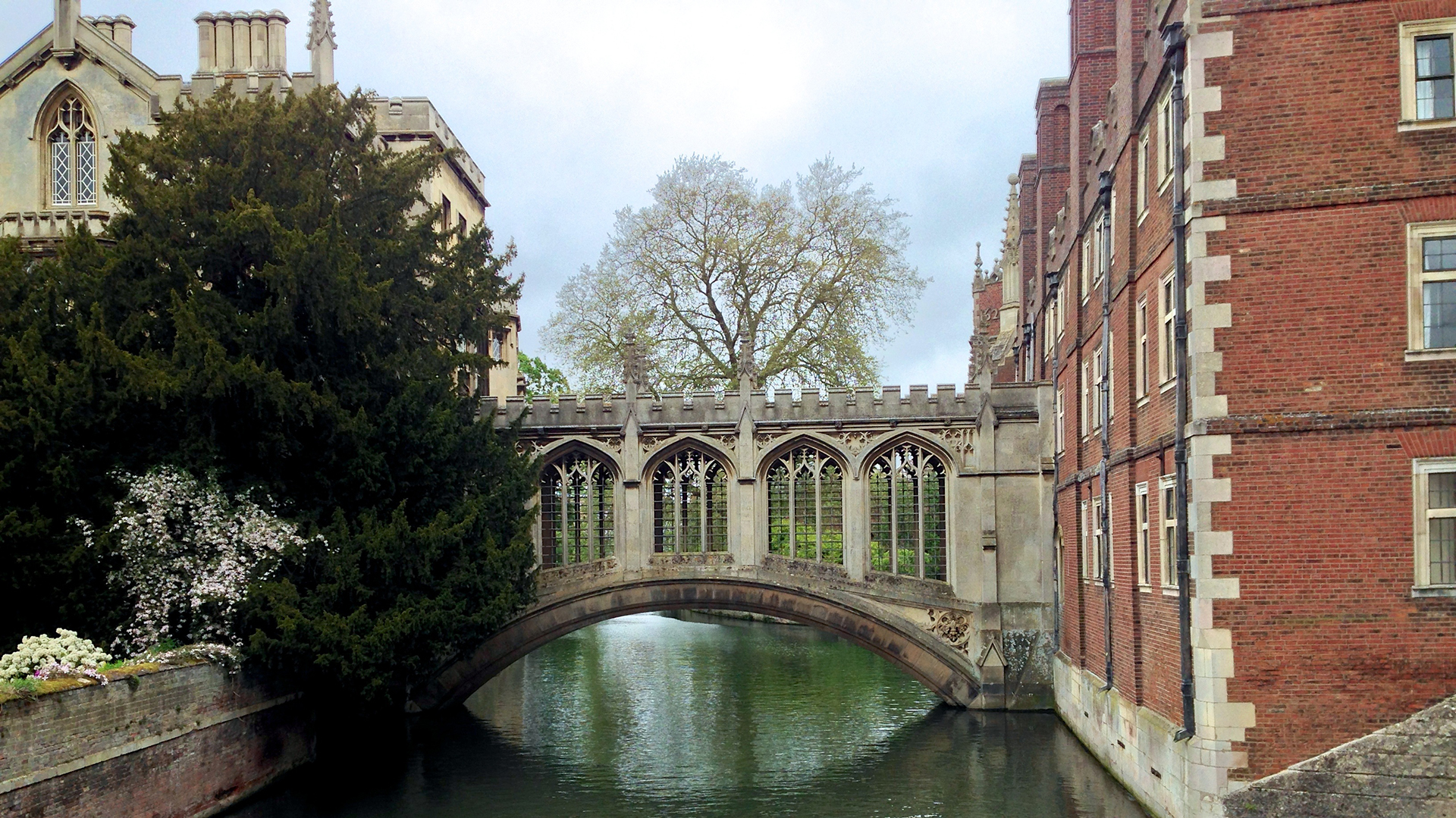Para sentirse en la piel de un british cursando sus estudios de grado, se puede uno sumergir en algunas de las tradiciones (Universidad de Cambridge)