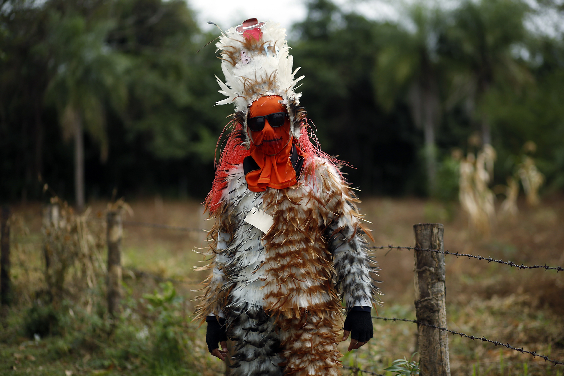 (AP Photo/Jorge Saenz)