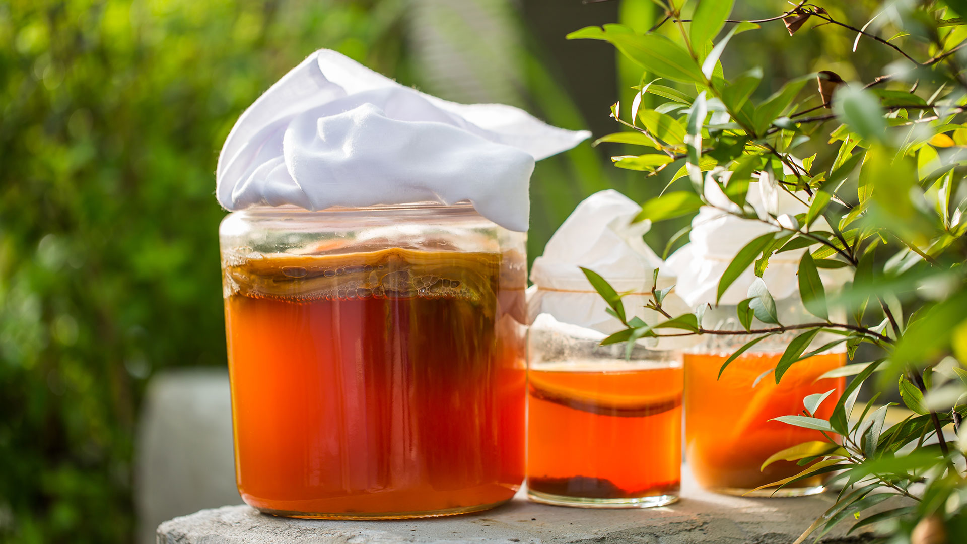 La fermentación y los procesos de conserva que utiliza, son un juego de alquimia (Shutterstock)