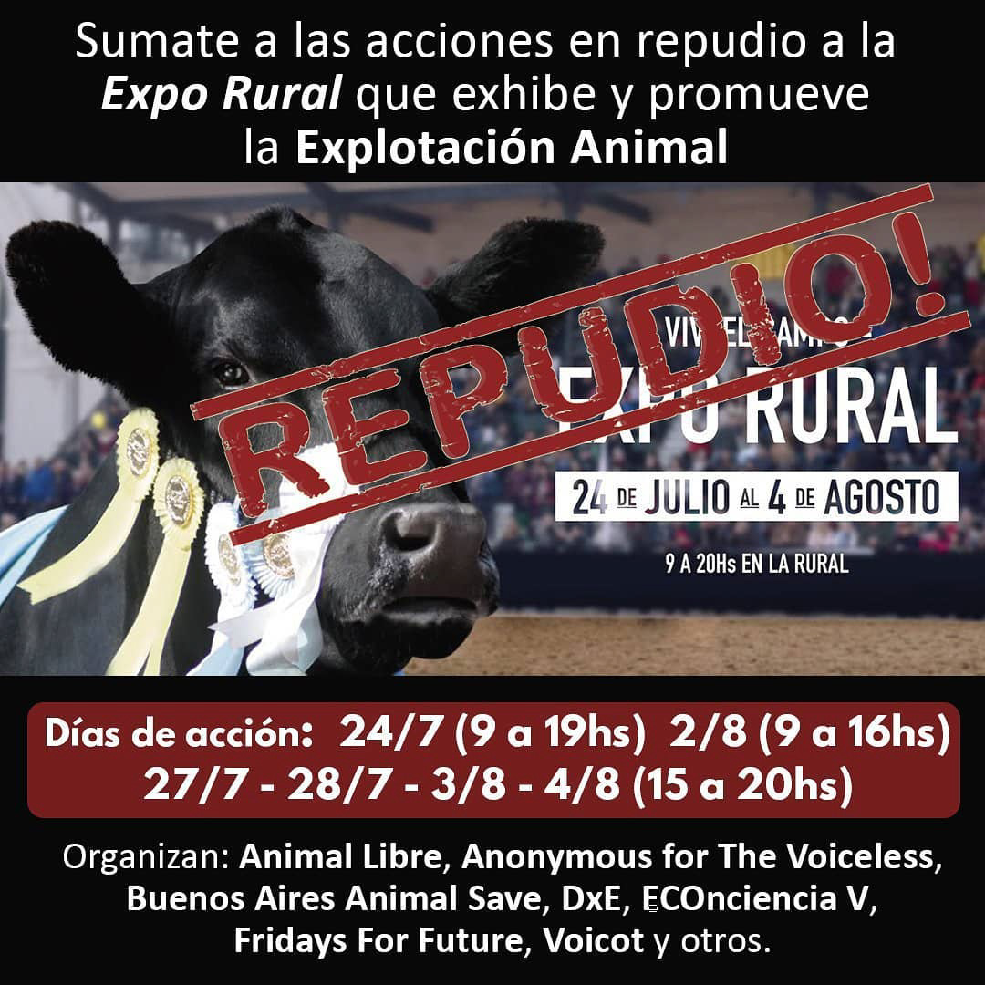 Una de las imágenes difundidas por la organización DXE Buenos Aires, cuatro días antes del incidente