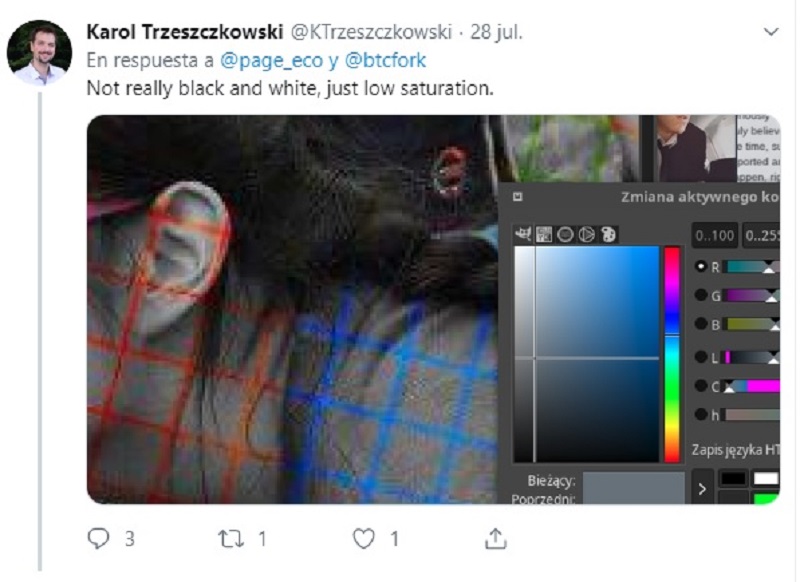 “No es realmente blanco y negra, sólo tiene baja la saturación”, dijo uno de los usuarios (Foto: Twitter @KTrzeszczkowski)