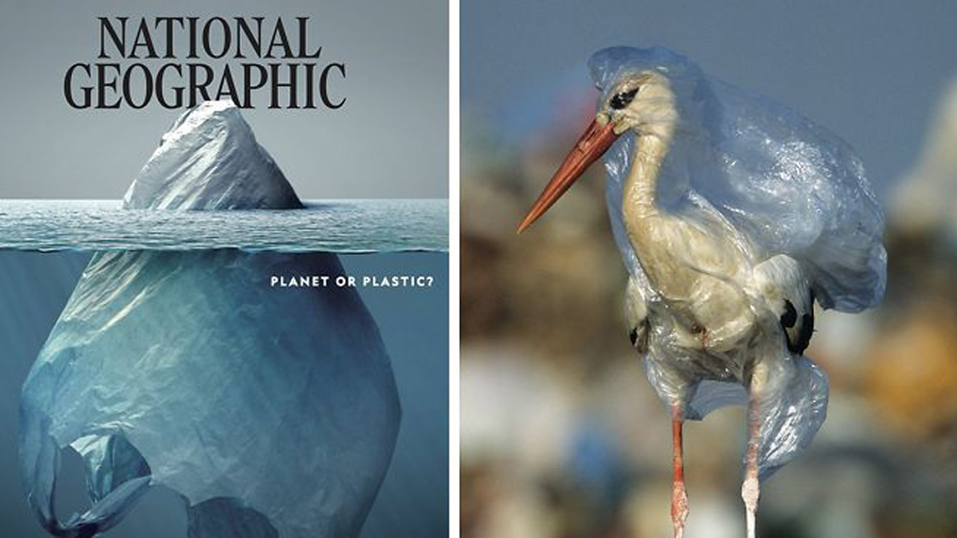 Una tapa célebre de Nat Geo que llama a concientizar sobre el uso del plástico (NatGeo)