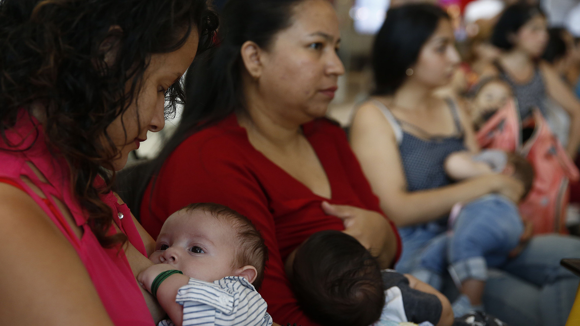 Un grupo de mujeres alimenta a sus hijos este viernes durante el inicio de la Lactatón 2019, en Medellín, Colombia. El evento, que convocó a más de 13 mil mujeres por la lactancia materna en 86 municipios del país y en alianza con 105 instituciones, se realizó para llamar la atención sobre la importancia de alimentar a los bebés desde los 0 hasta los 6 meses con leche materna, para que se desarrollen de forma saludable (EFE/LUIS EDUARDO NORIEGA A.)