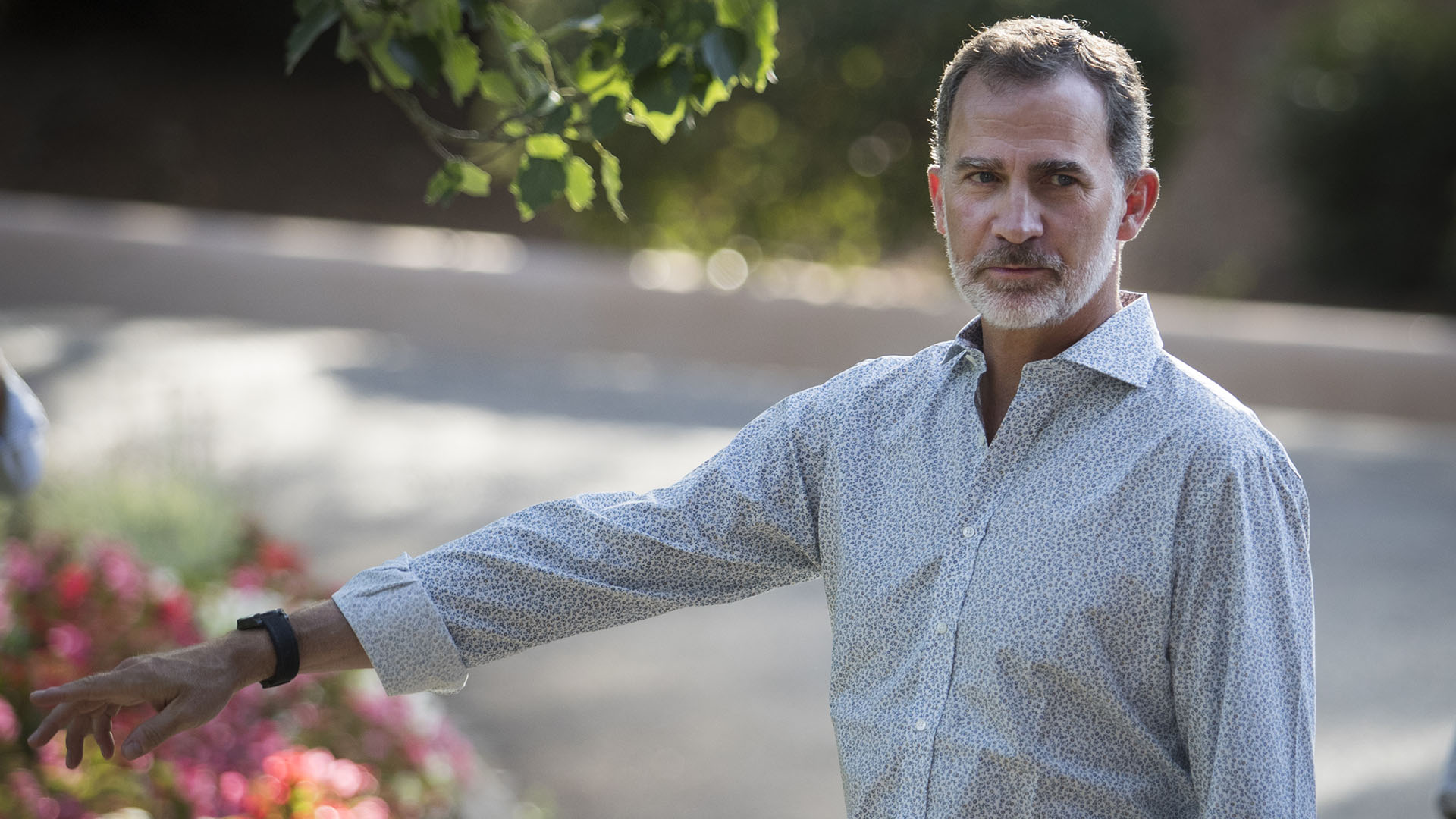 El rey Felipe VI