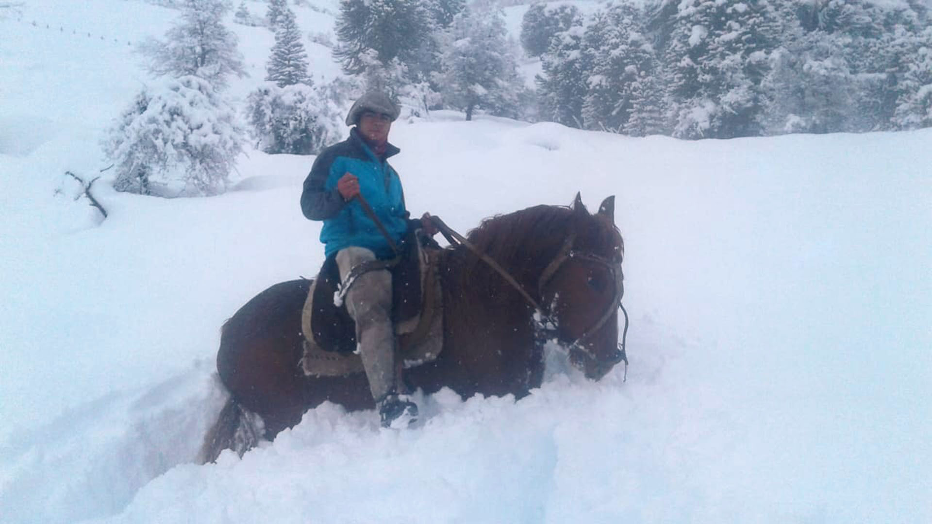 A caballo se movieron algunos de los que colaboraron en el rescate