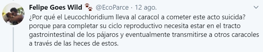 caracol zombi 1