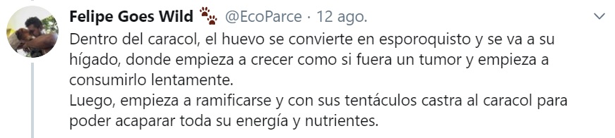 infobae