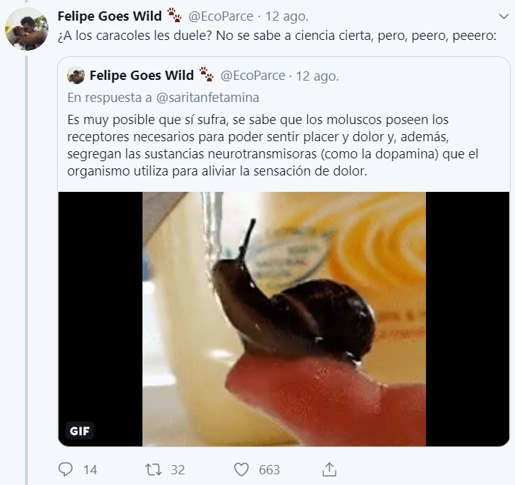 caracol zombie 6otro