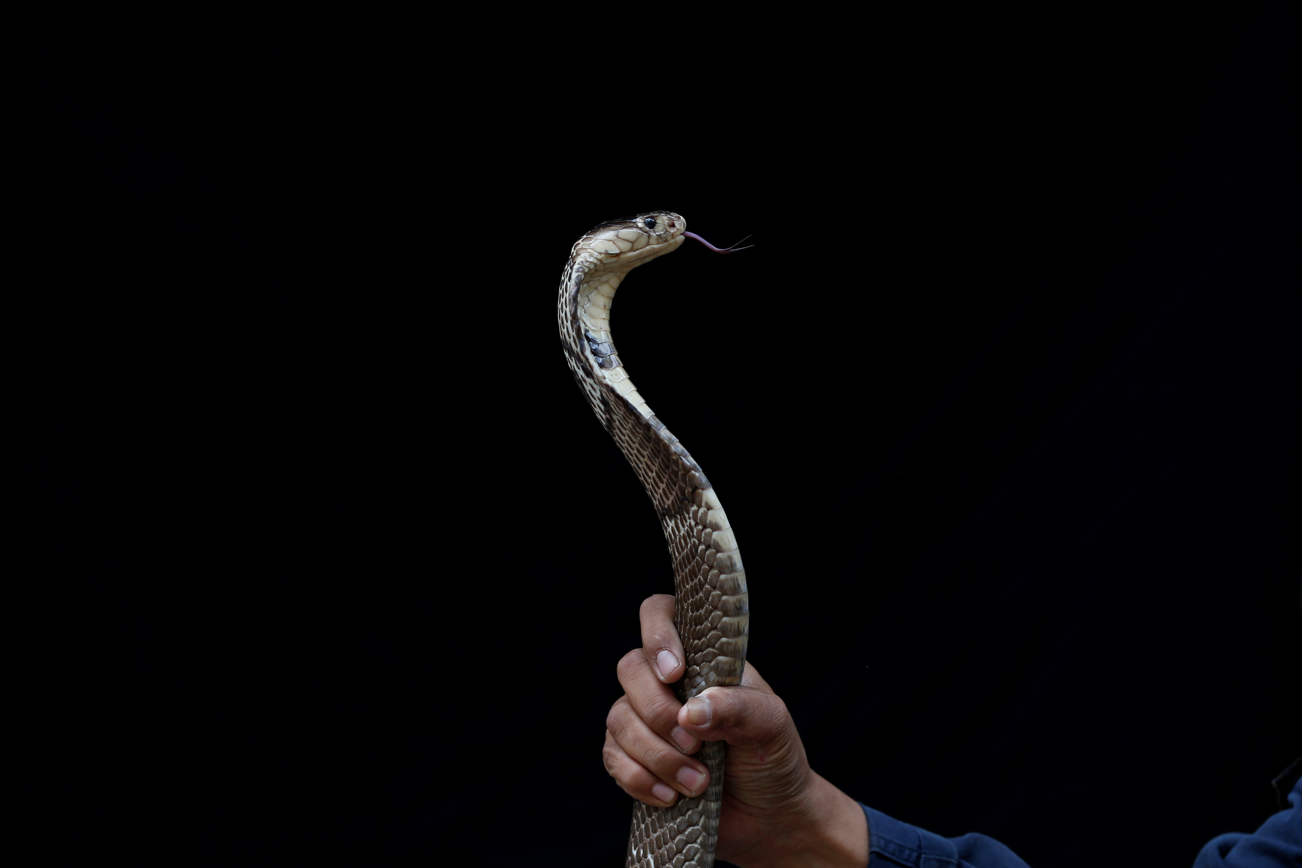 El “encantador de serpientes posa con una cobra en la estación de bomberos