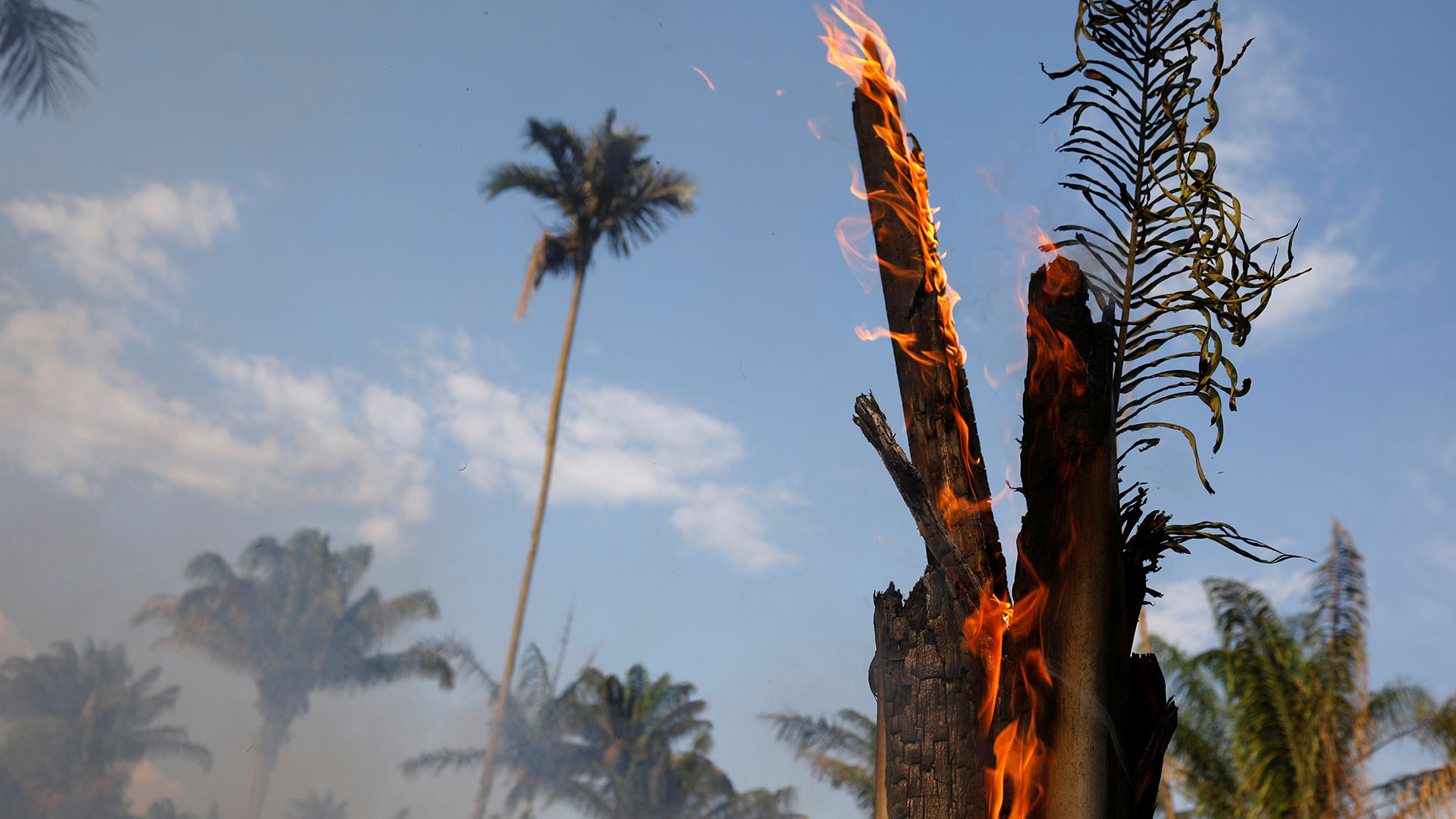 Los incendios en la Amazonía preocupan al mundo entero (Reuters)