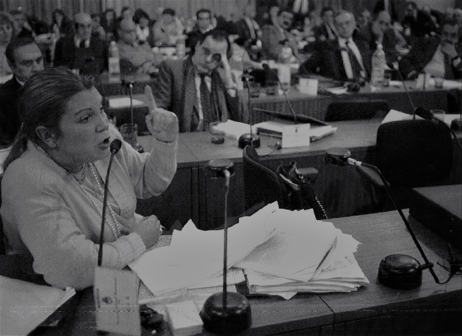 Elisa Carrió. La Constituyente le permitió instalarse como referente nacional del radicalismo