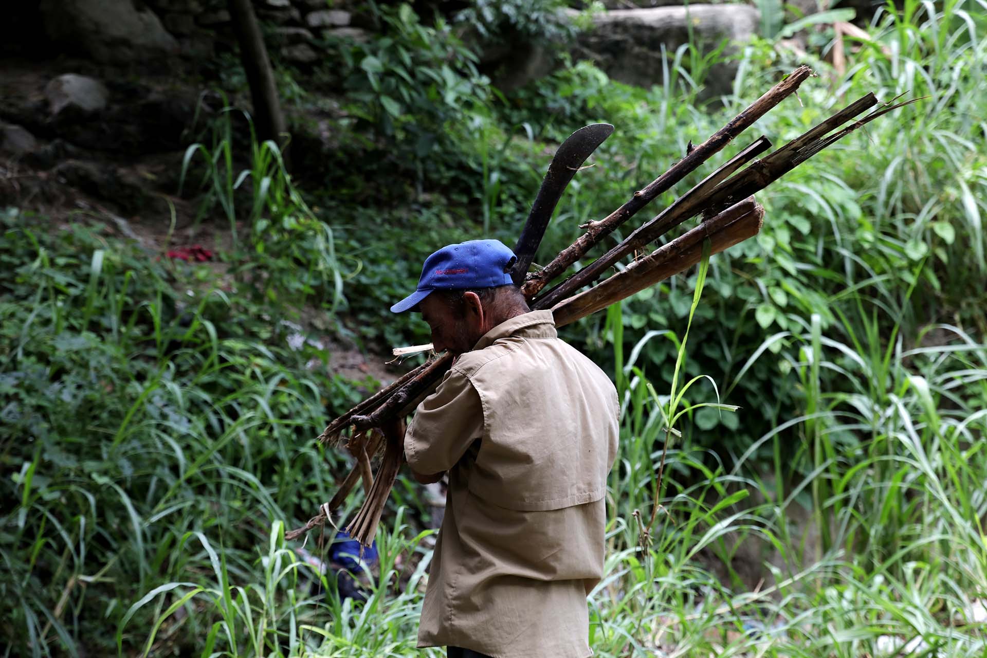 Jorge Asquiles transporta leña recolectada en el Parque Nacional Henri Pittier en Maracay, Venezuela, el 14 de agosto de 2019 (REUTERS/Manaure Quintero)