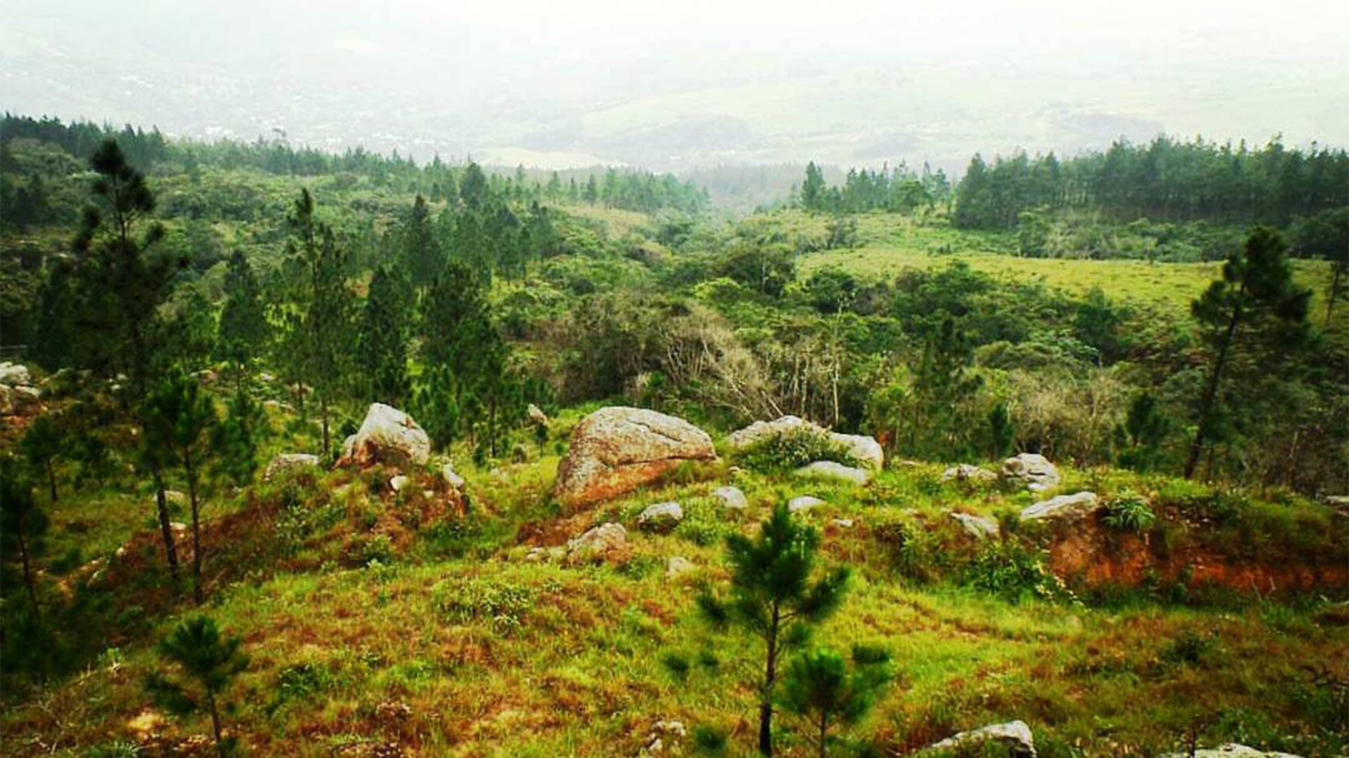 El cerro Capote