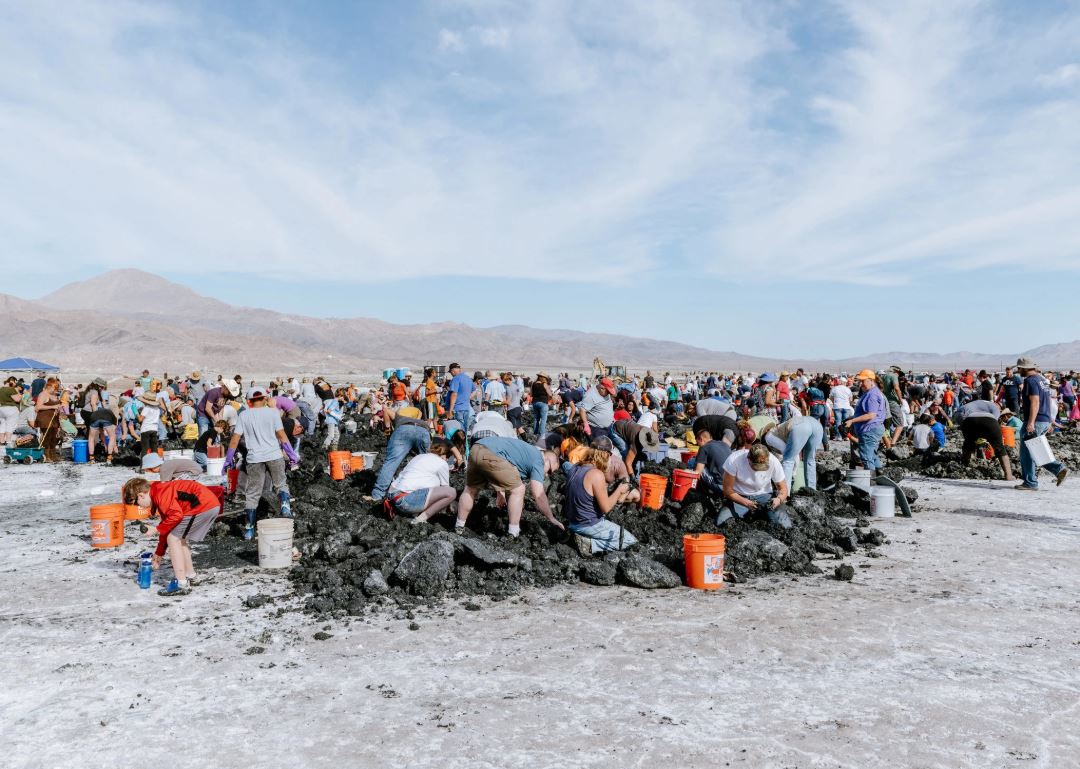 Los cazadores de cantera buscan hanksita, bórax y otros minerales en una de las actividades de Gem-O-Rama, el Mud Trip. Credit Brian Guido para The New York Times