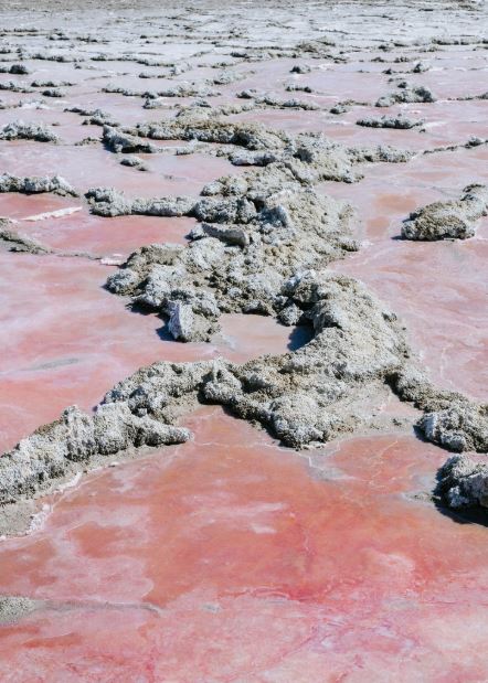 nyt-fiebre-california-cristales-suelo