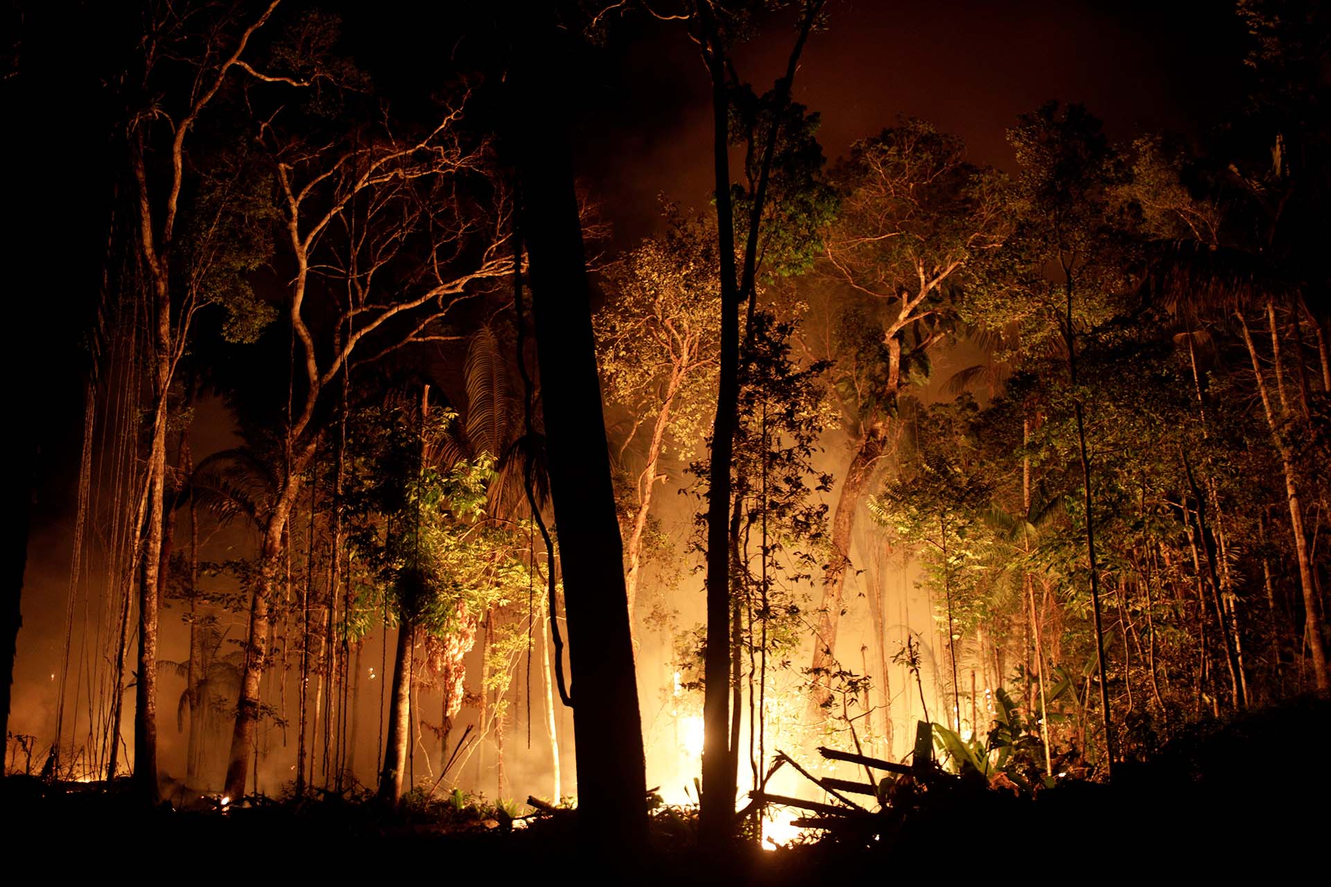 Un fuerte incendio se provocó en Porto Velho tras la tala de árboles por parte de madereros y agricultores