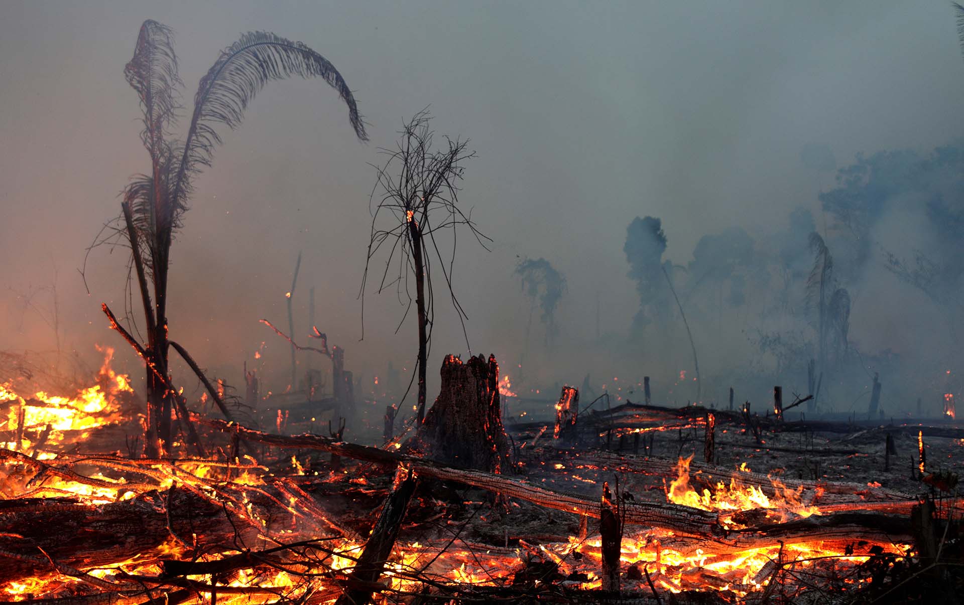 Hasta agosto, se habían superado los 80.000 focos activos de incendio en el Amazonas