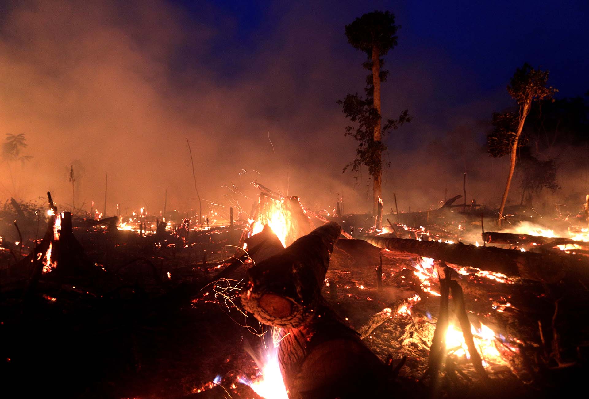 Rondonia fue uno de los estados más afectados en la amazonía brasileña