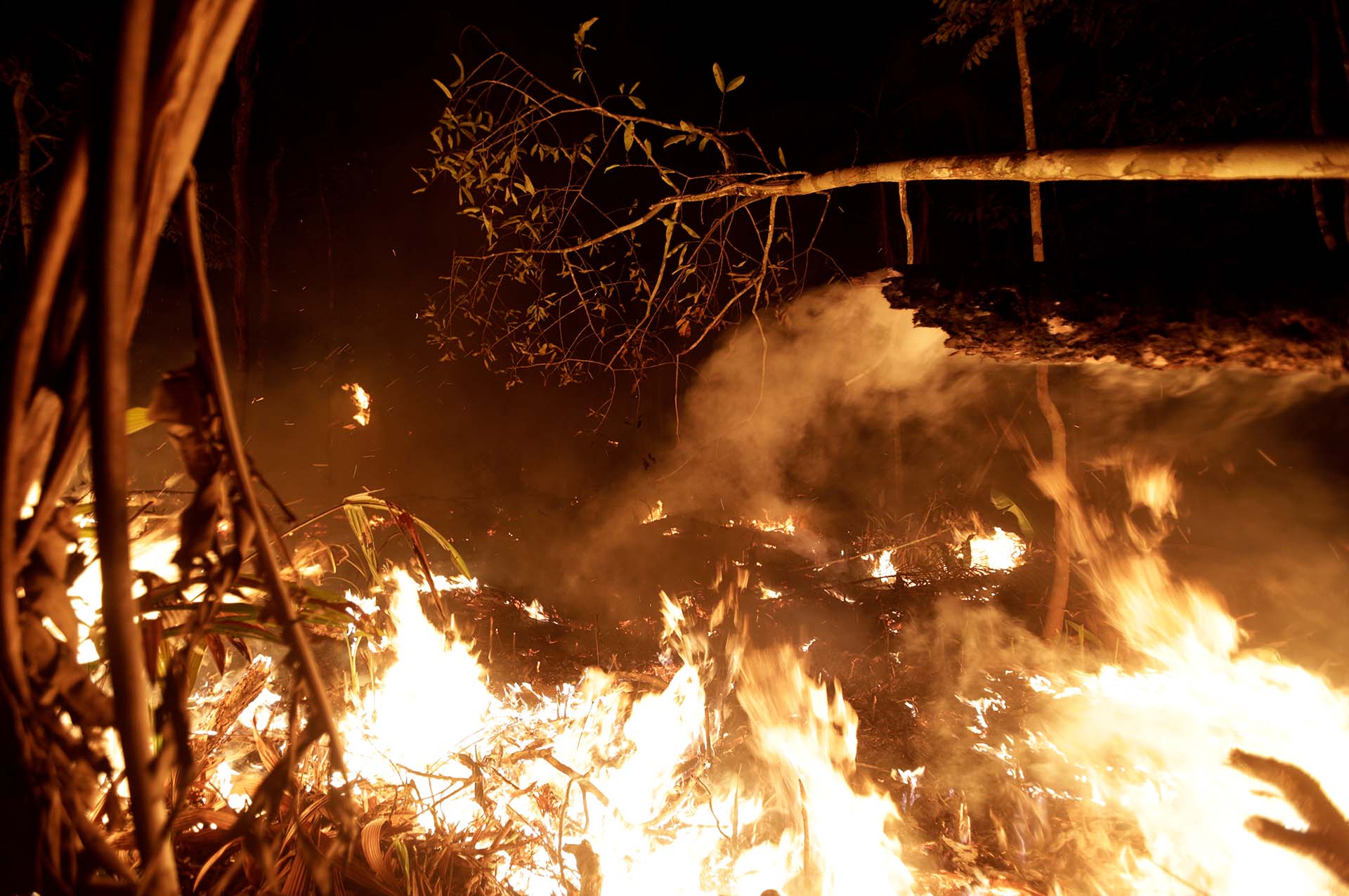 Brasil recibió la colaboración de otros países para contener las llamas en el Amazonas