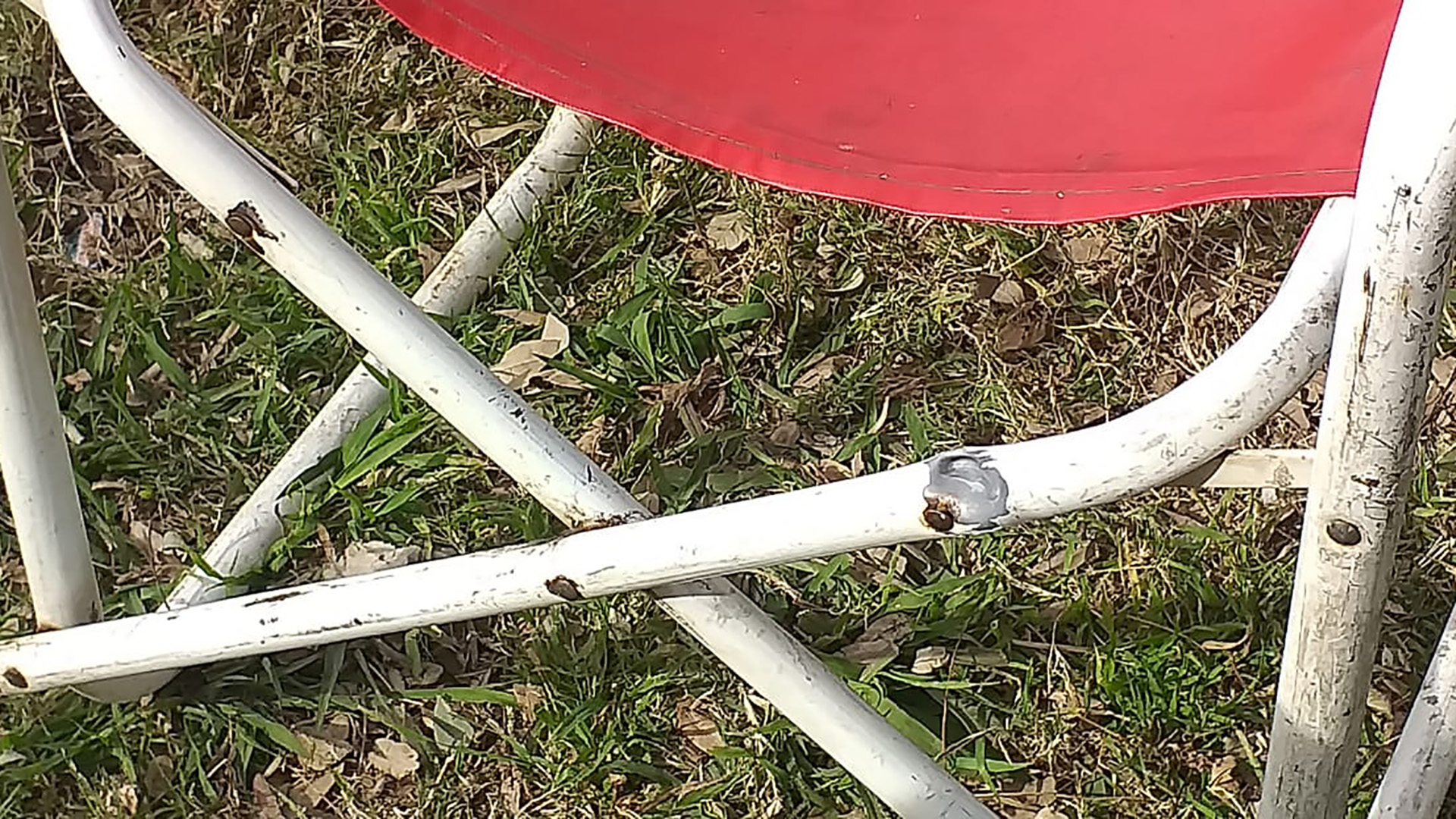 Los disparos agujerearon las sillas en las que dos clientes se encontraban almorzando