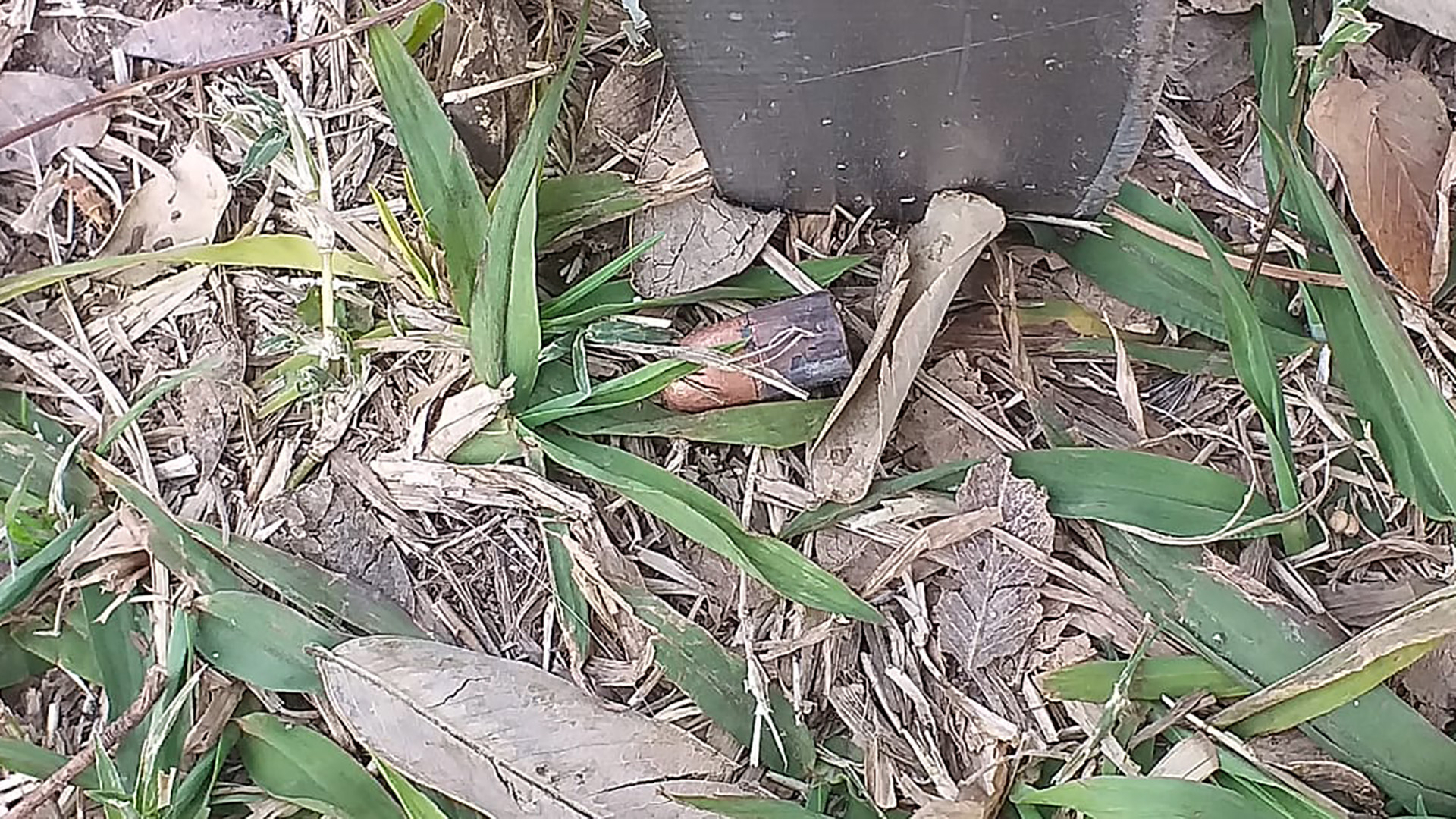 Uno de los casquillos que se encontró en el lugar