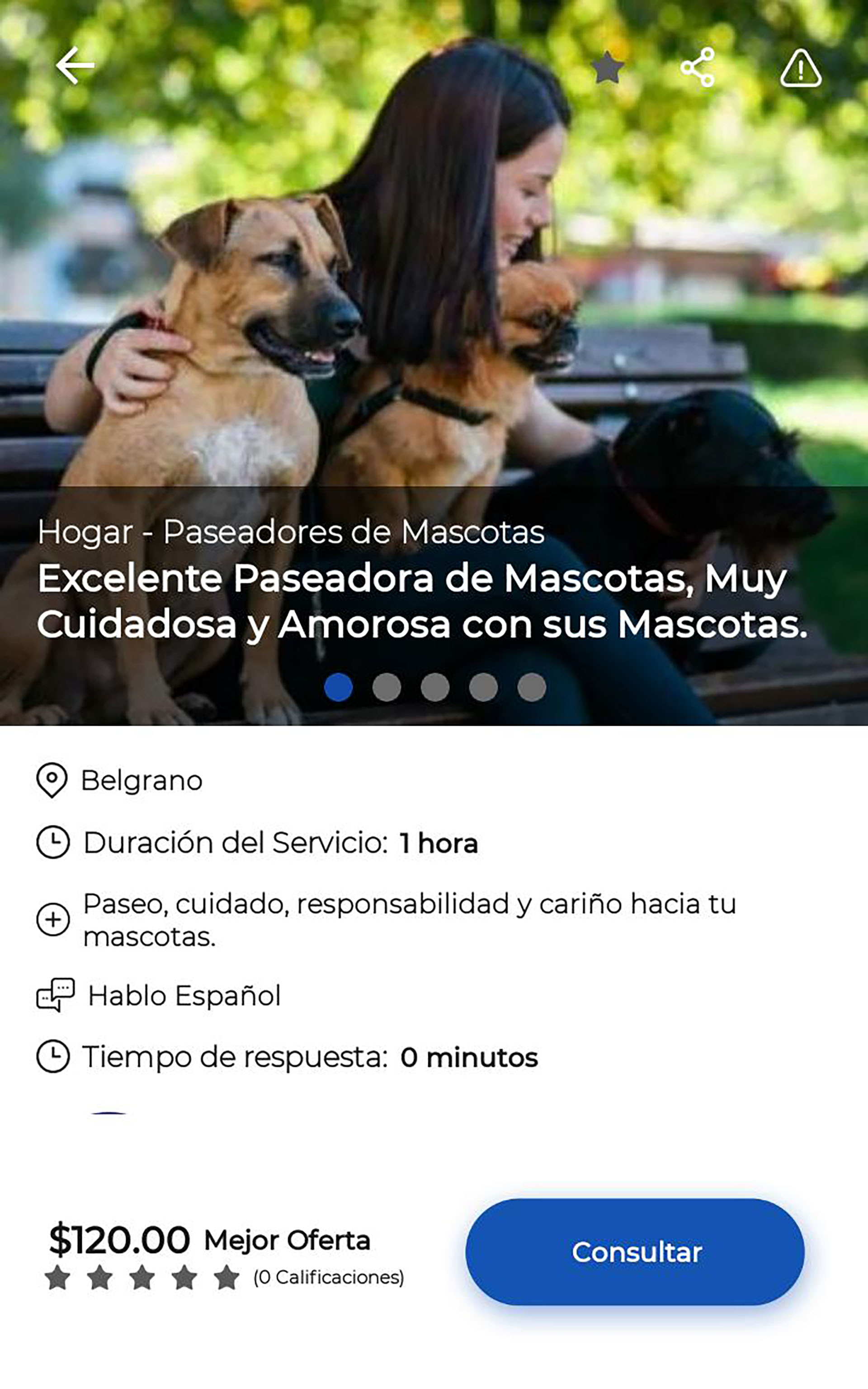 Paseadores de perros, uno de los rubros más ofrecidos en Big Blue People