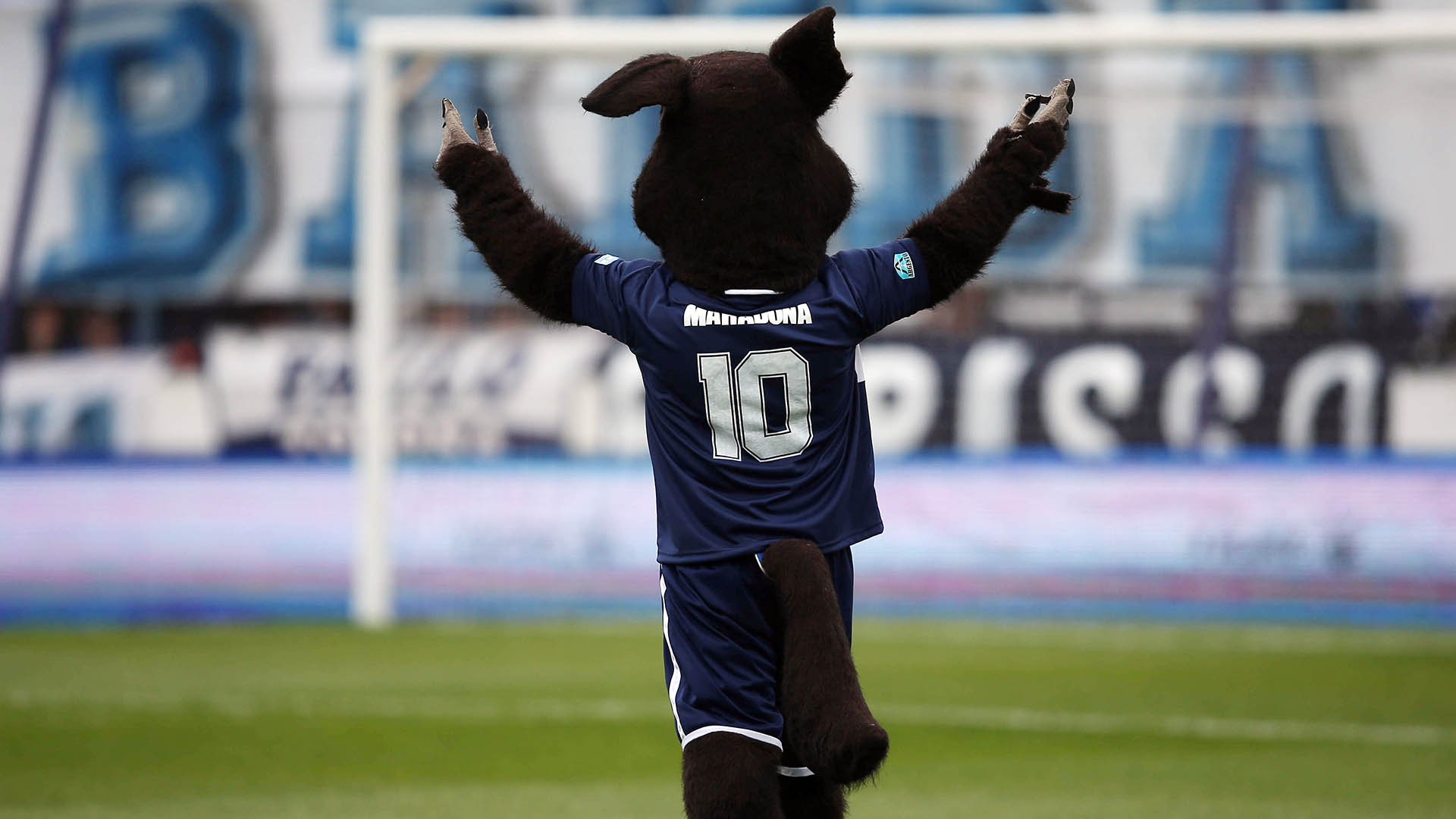 Hasta la mascota de Gimnasia vistió la camiseta número 10 de Maradona
