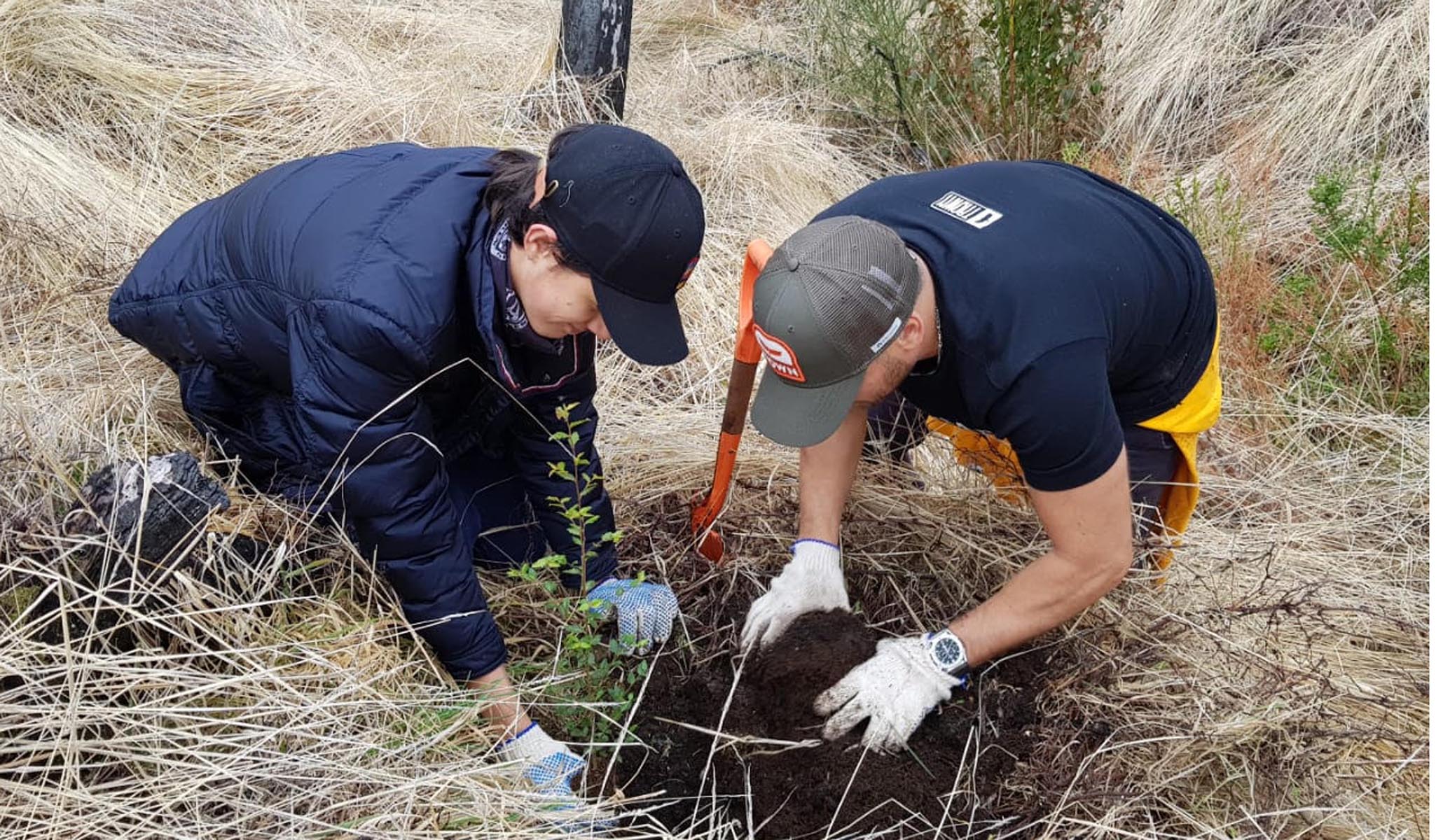 Dos voluntarios plantan una especie nativa