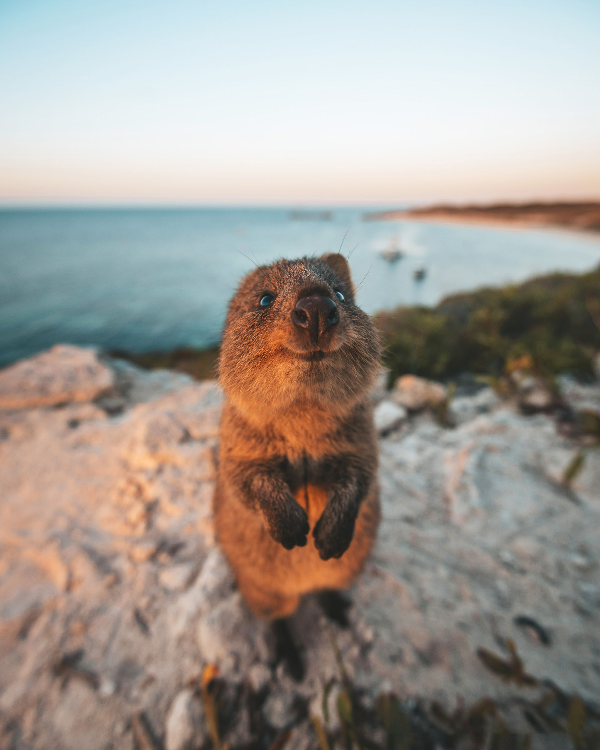 (James Vodicka/ The Comedy Wildlife Photography Awards 2019)