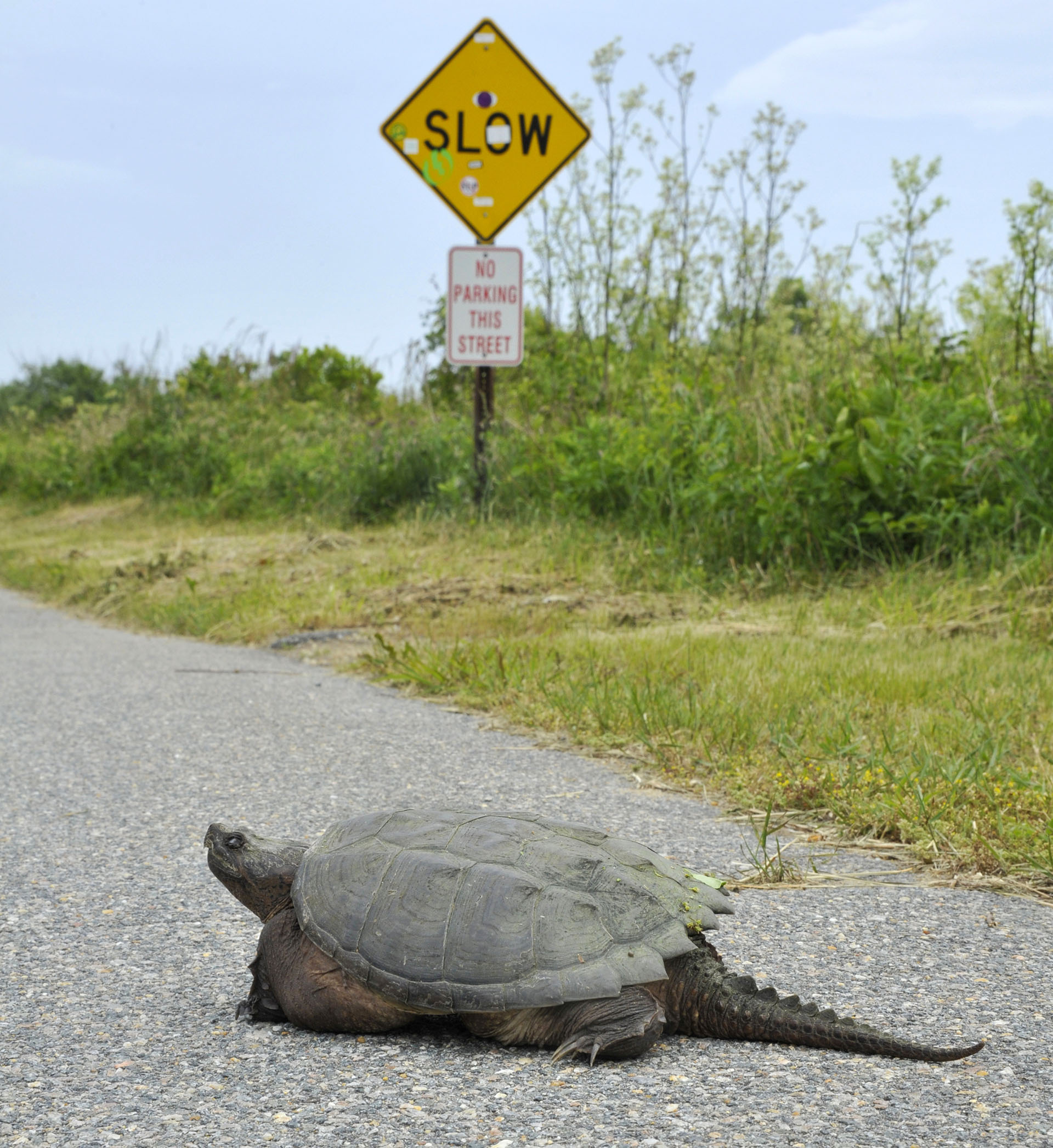 (Lisa Vanderhoop/ The Comedy Wildlife Photography Awards 2019)